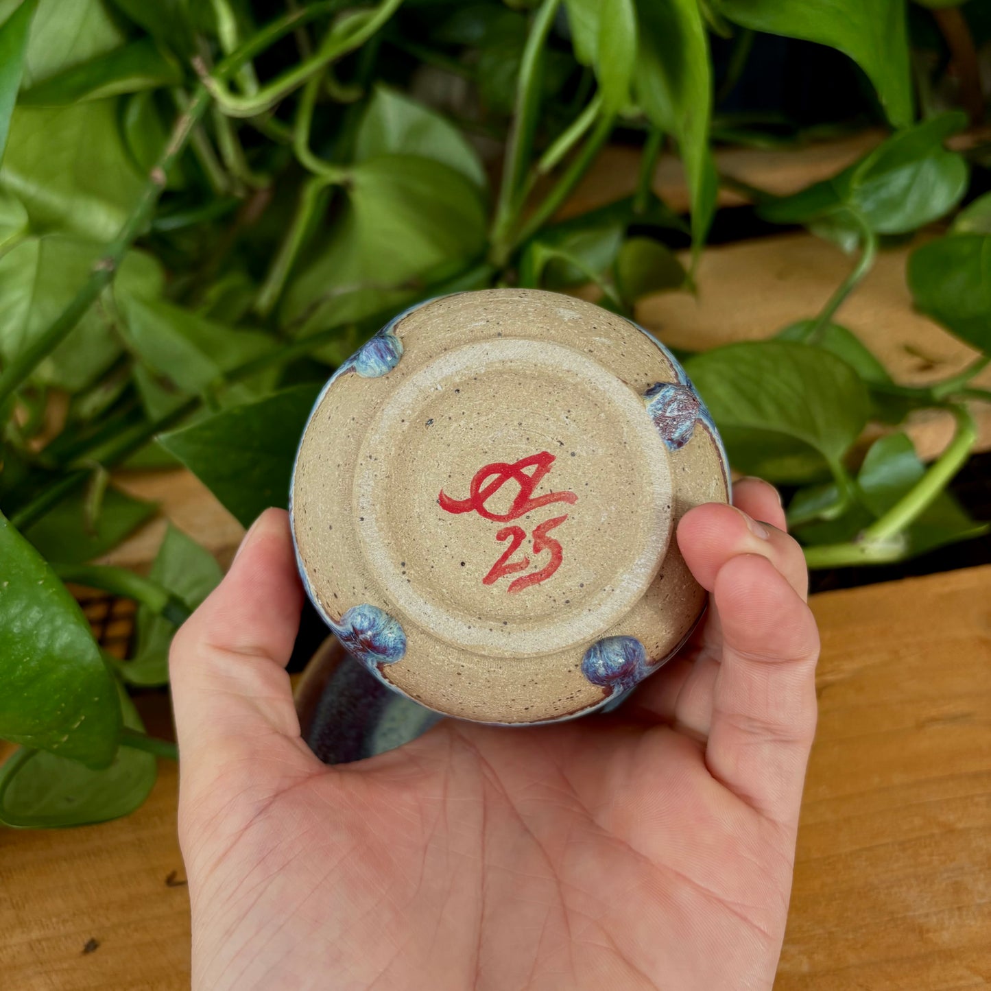 #304 Primrose Espresso Set