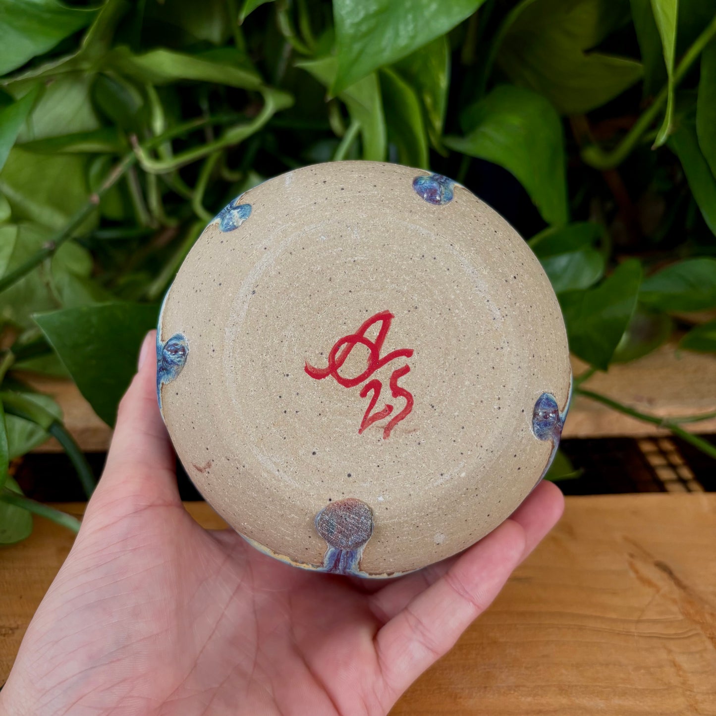 #310 Primrose Matcha Bowl