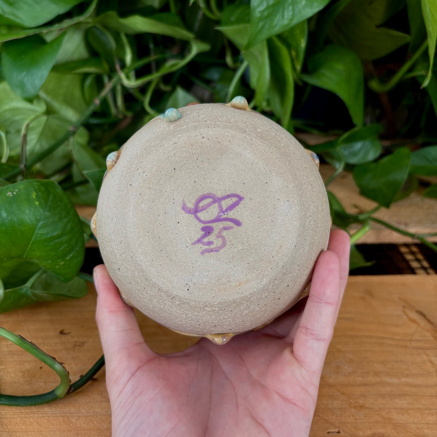 #314 Prairie Phlox Matcha Bowl