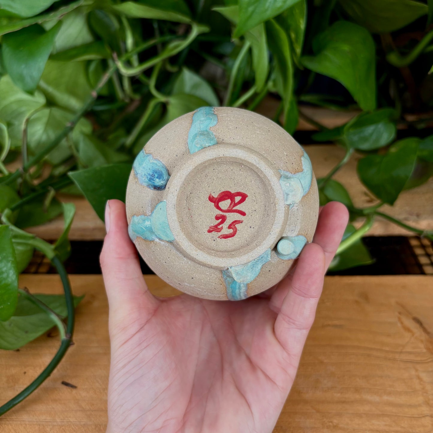 #322 Hydrangea Tumbler