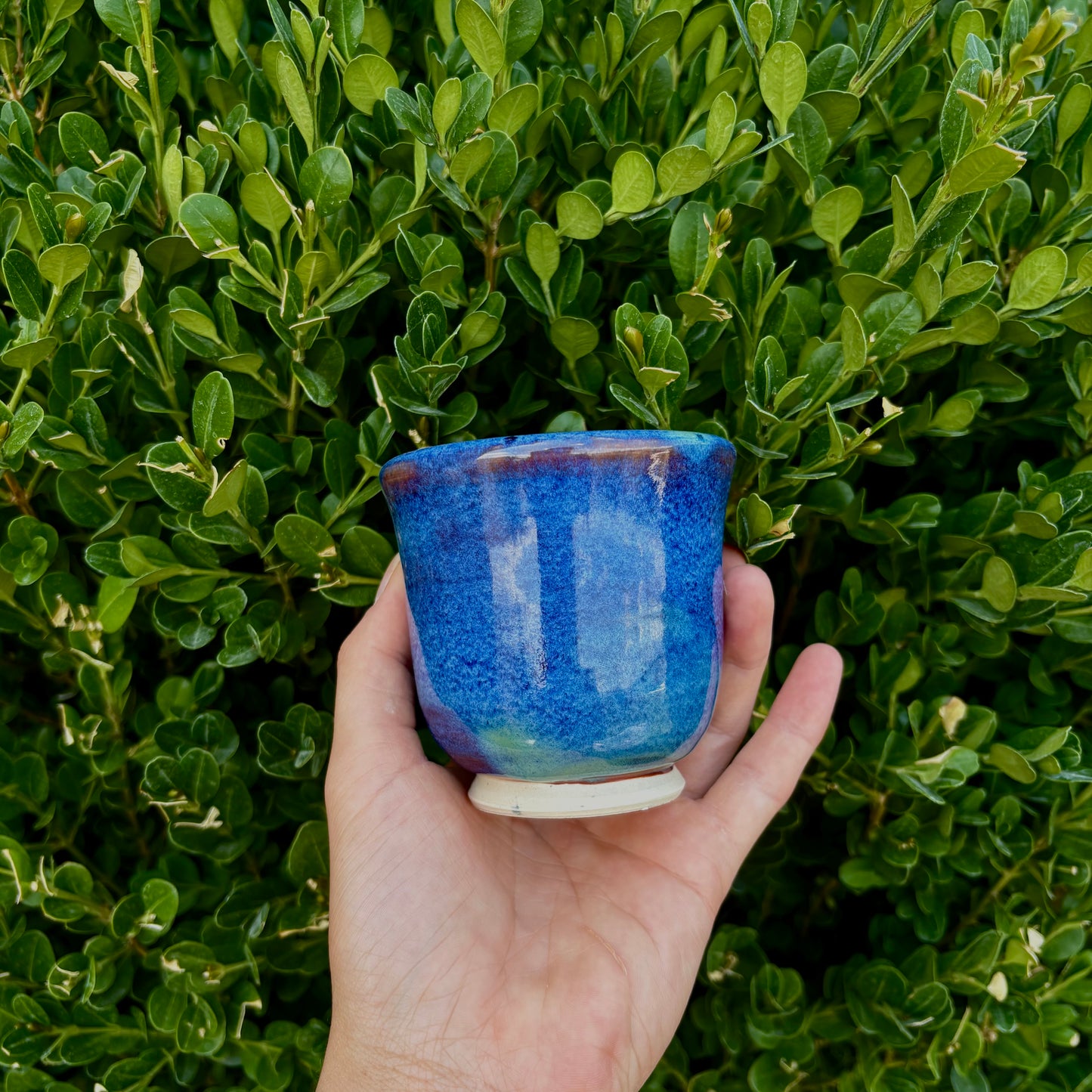 Lupine Matcha & Tea Cup #232