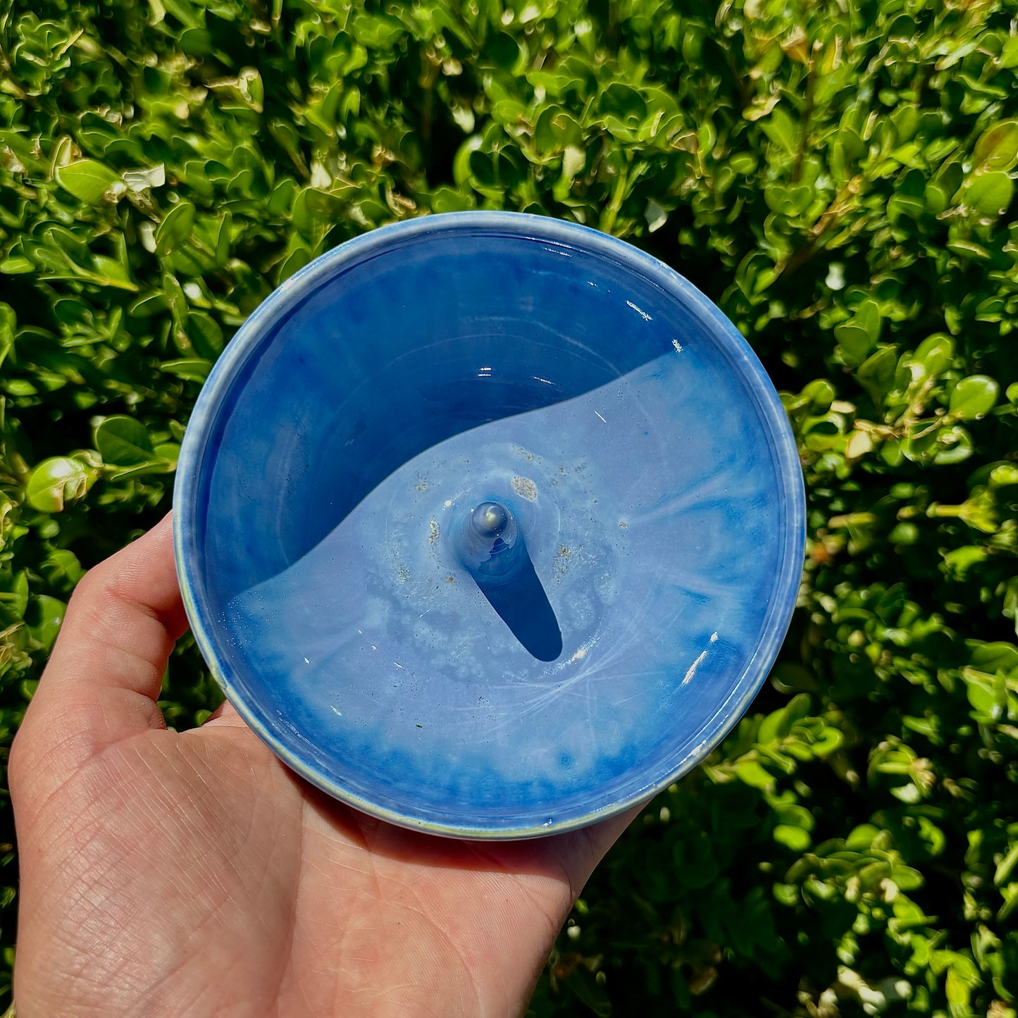 Orchid Ring Dish #55