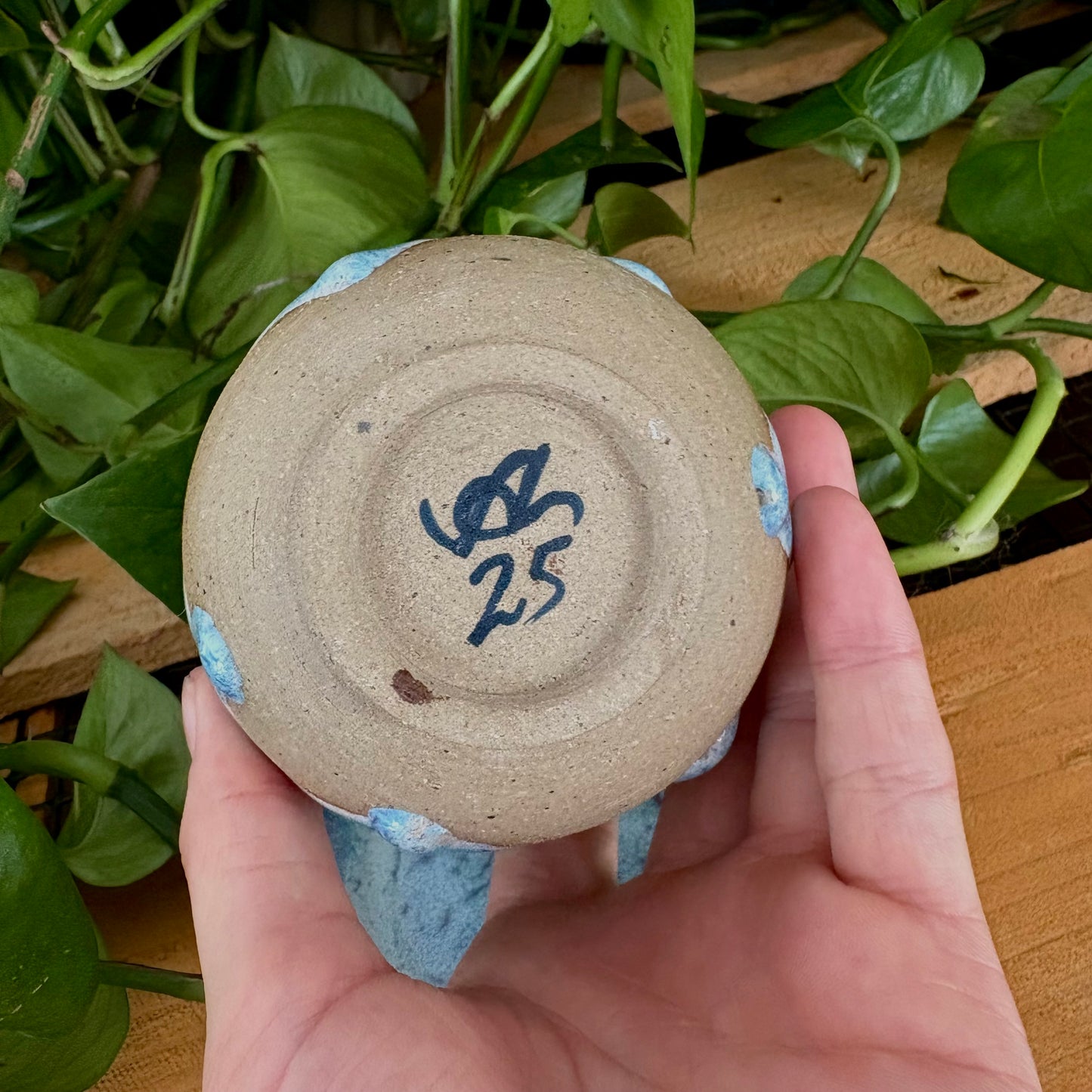 #305 Hyacinth Espresso Set