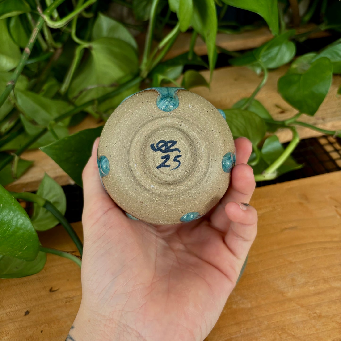 #306 Juniper Espresso Set