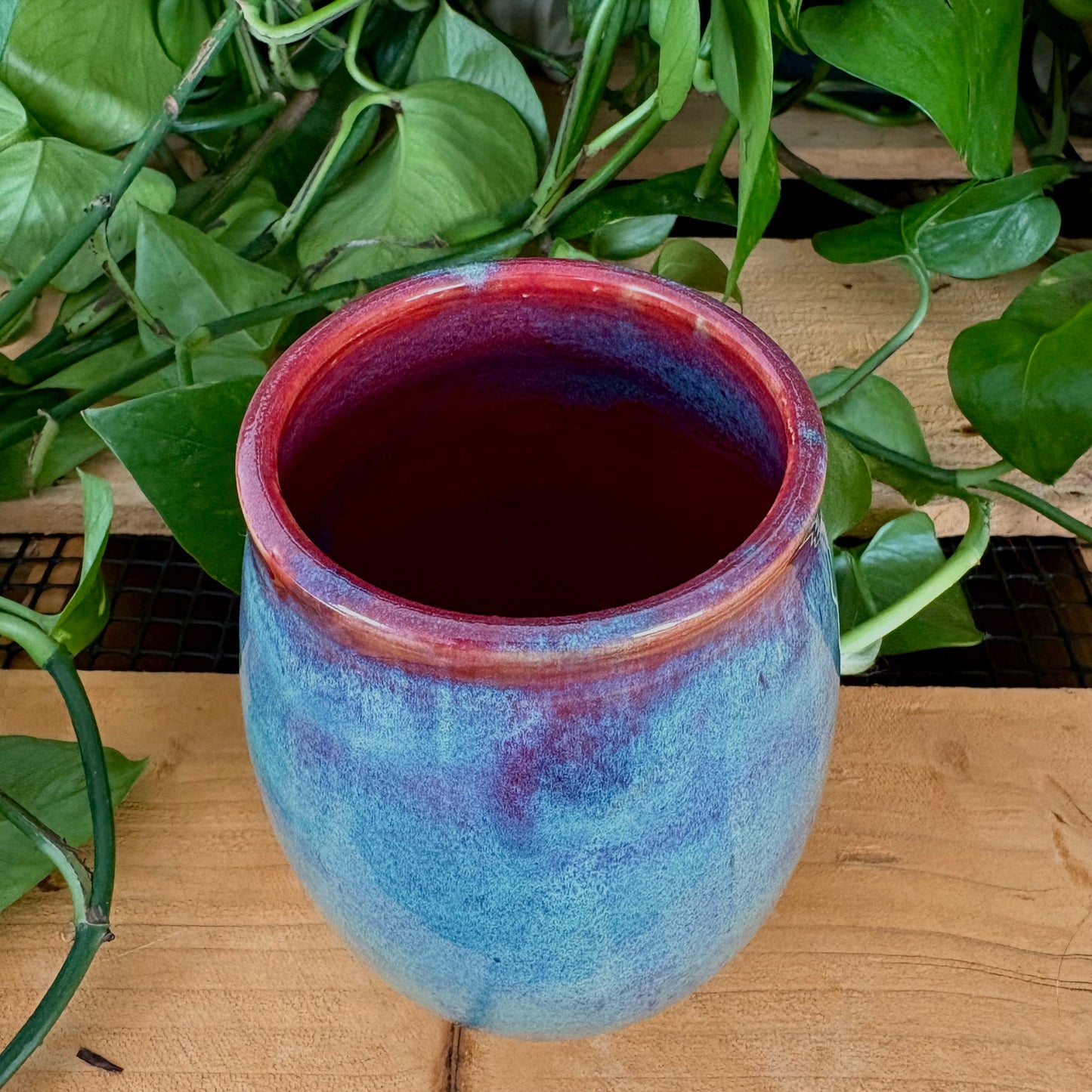 #319 Prairie Phlox Tumbler