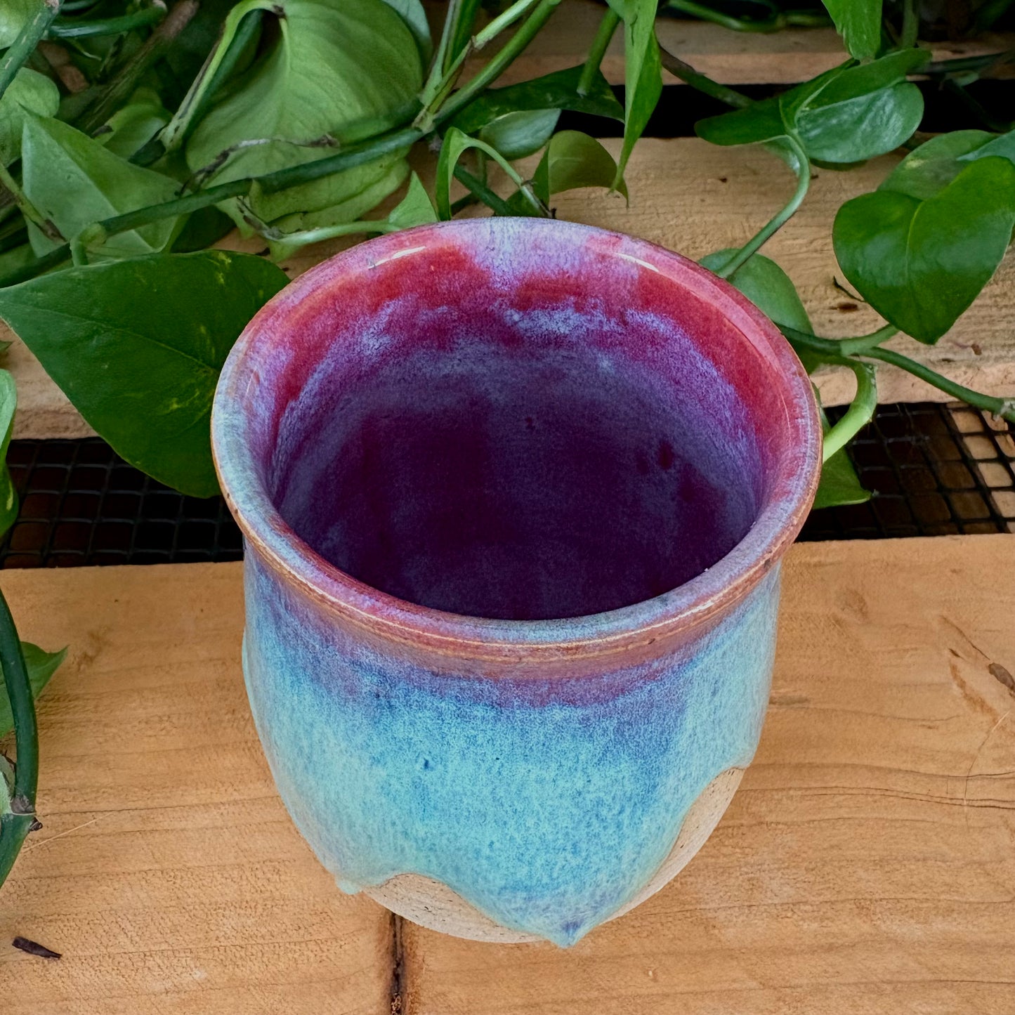 #325 Prairie Phlox Tumbler