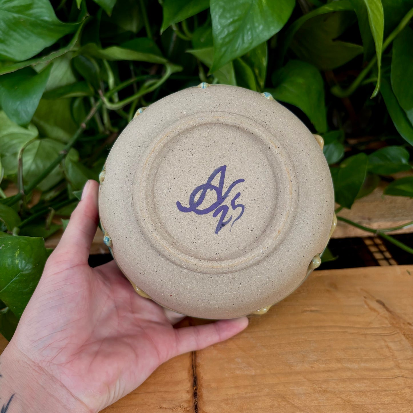 #326 Prairie Phlox Bowl