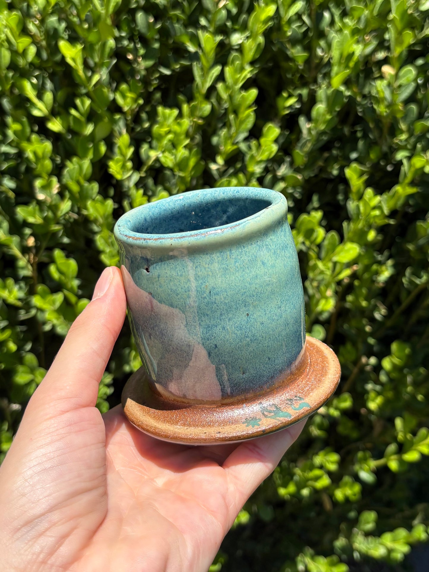 Juniper Butter Bell #290