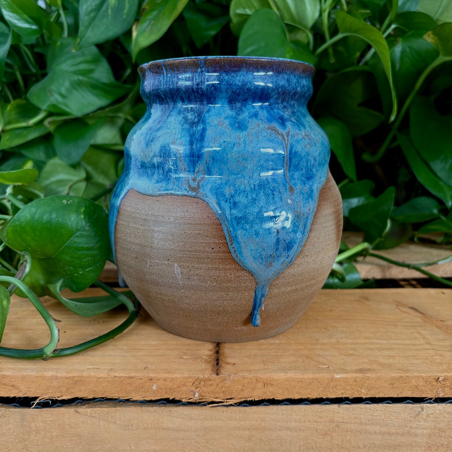 #337 Delphinium Vase