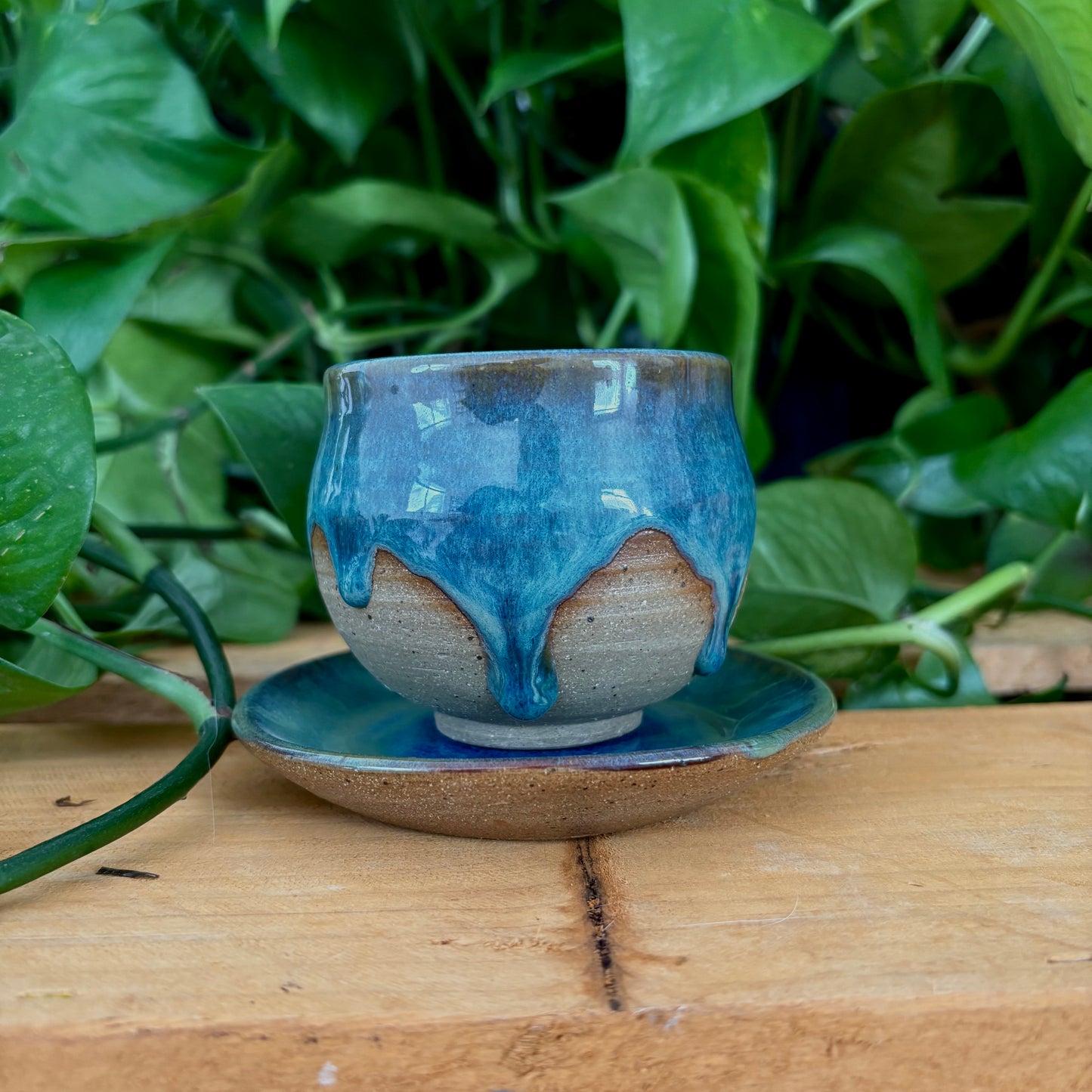 #306 Juniper Espresso Set