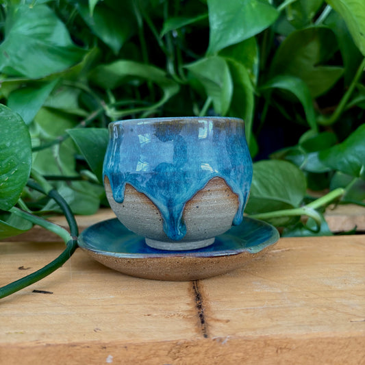 #306 Juniper Espresso Set