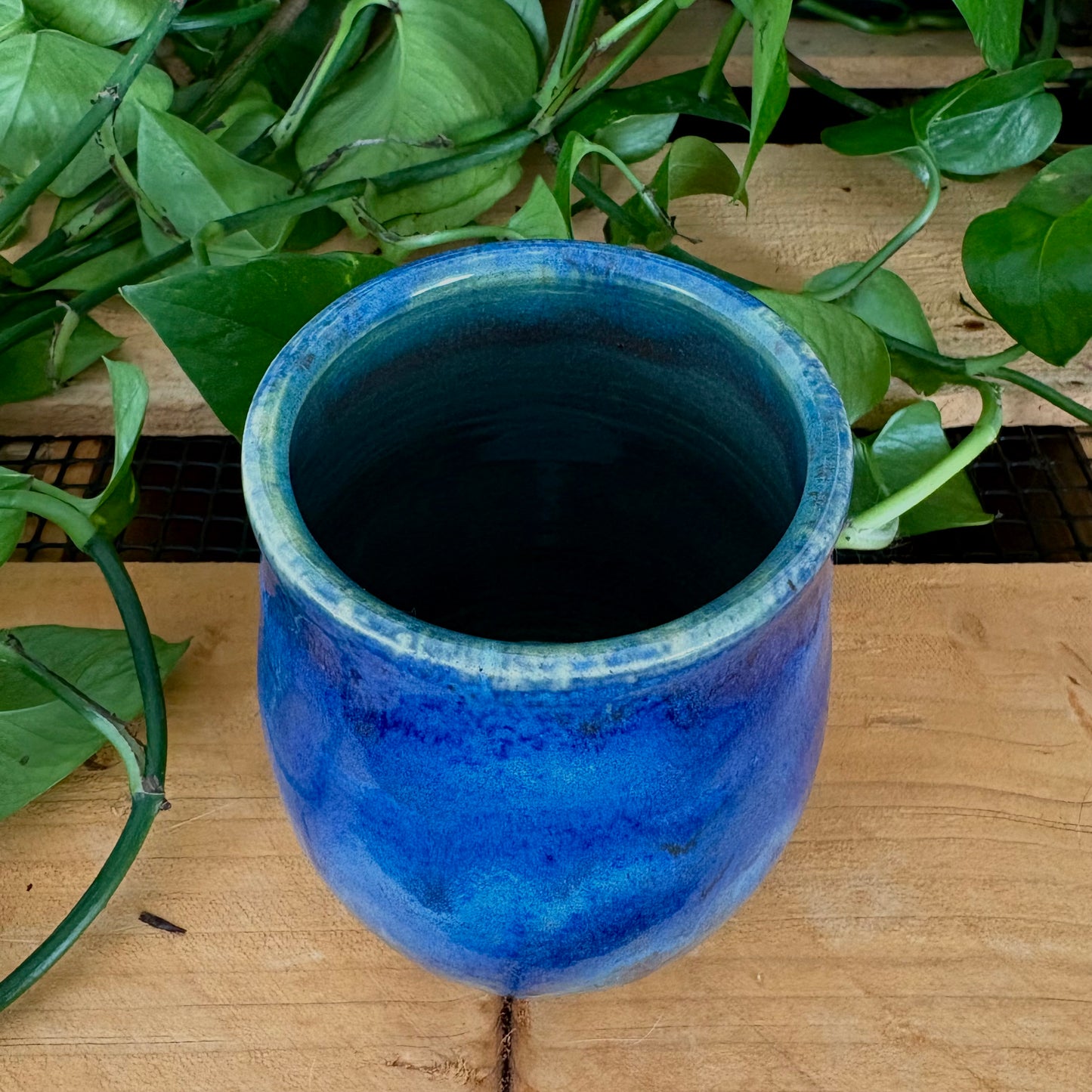 #321 Bluebell Tumbler