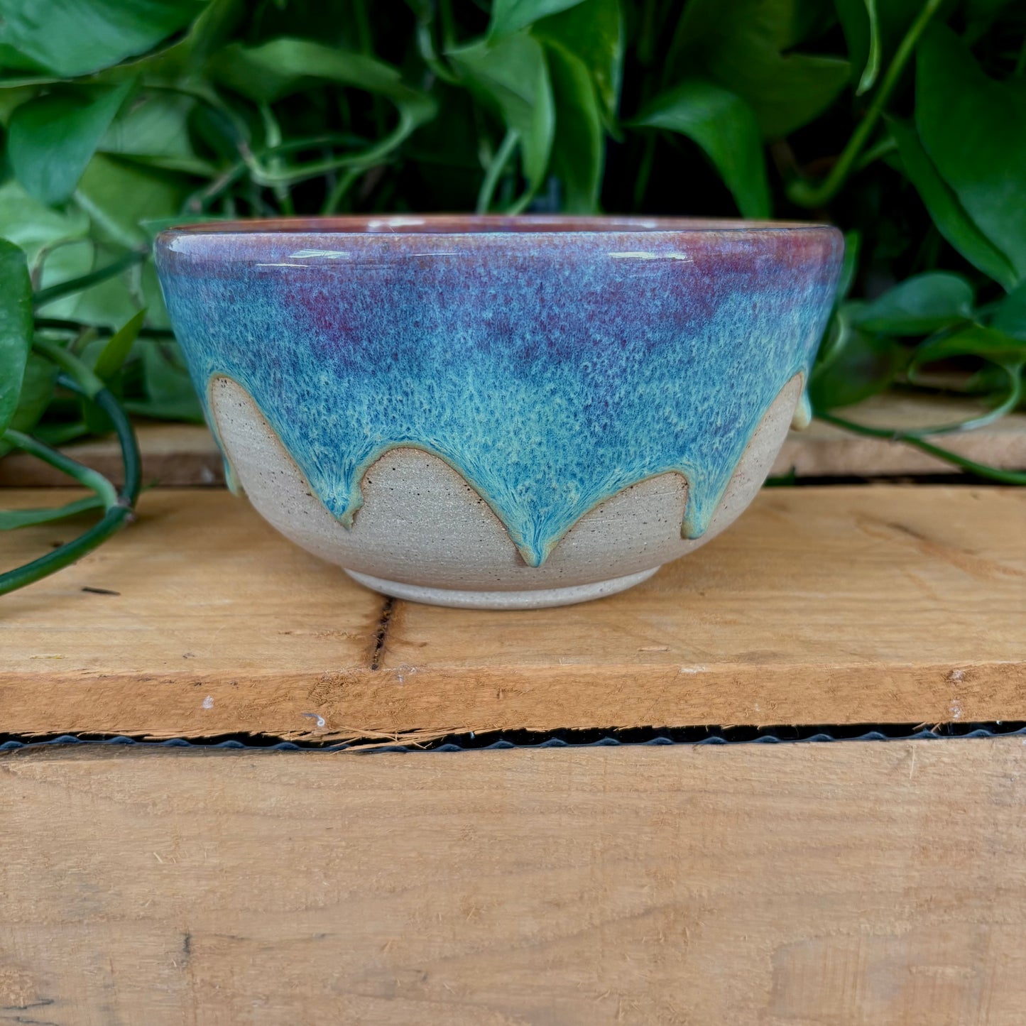 #326 Prairie Phlox Bowl