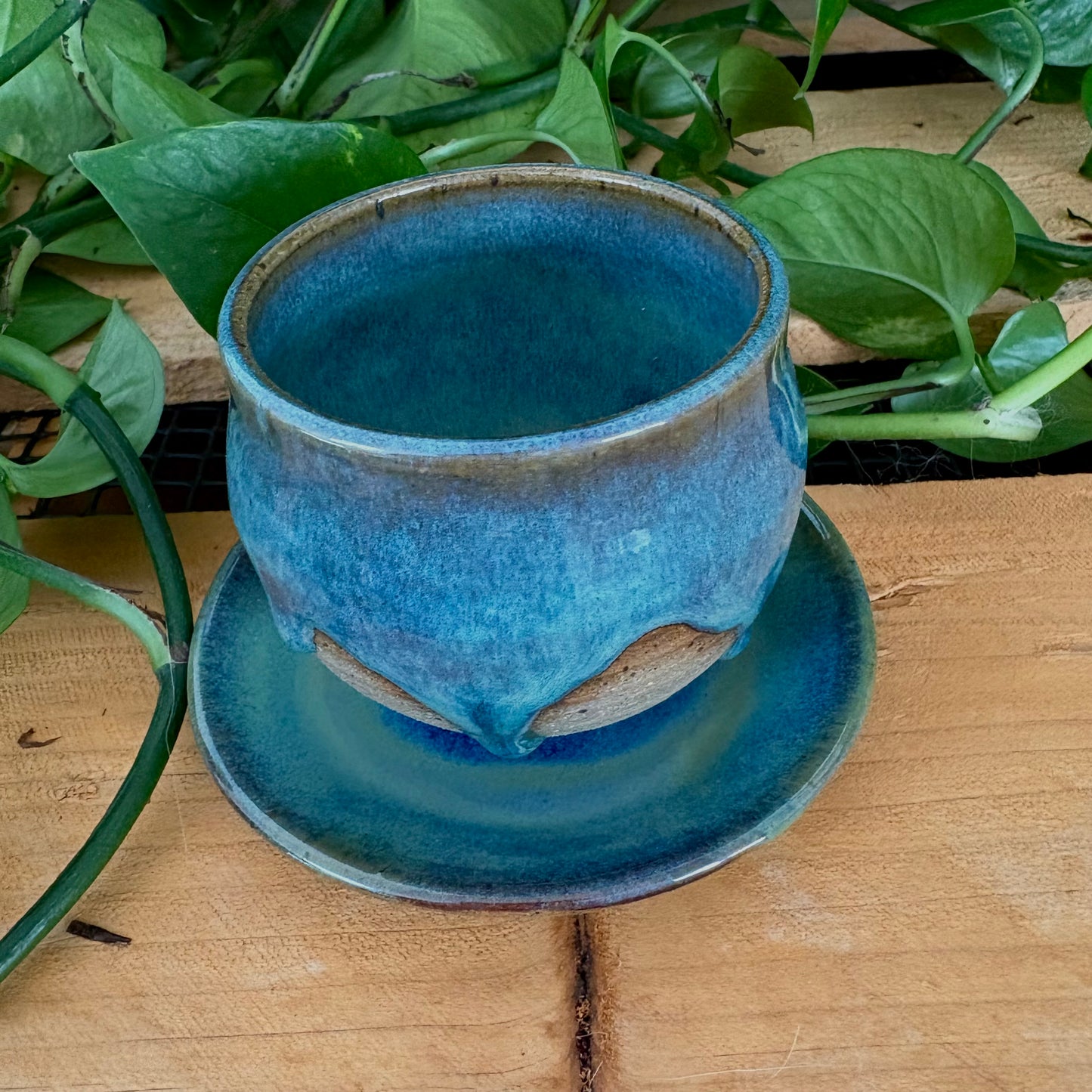 #306 Juniper Espresso Set