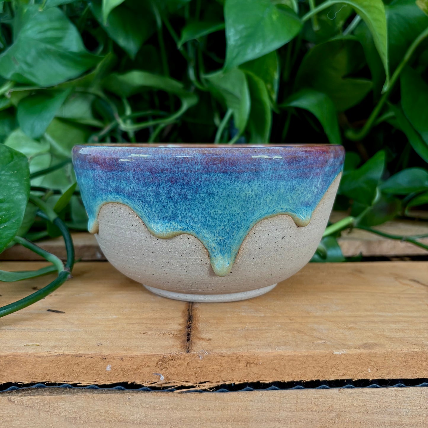 #326 Prairie Phlox Bowl