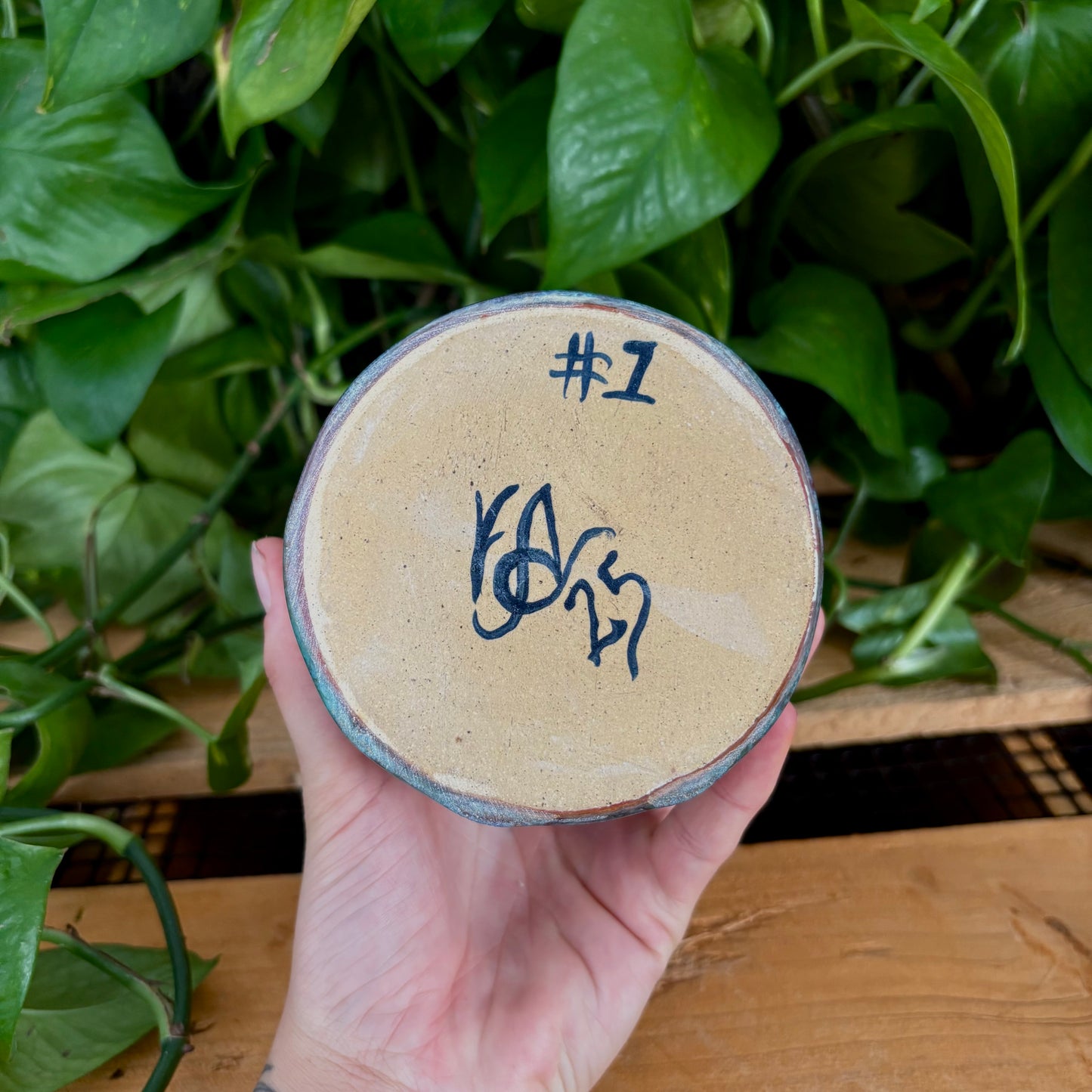 #338 Hyacinth Sake Set