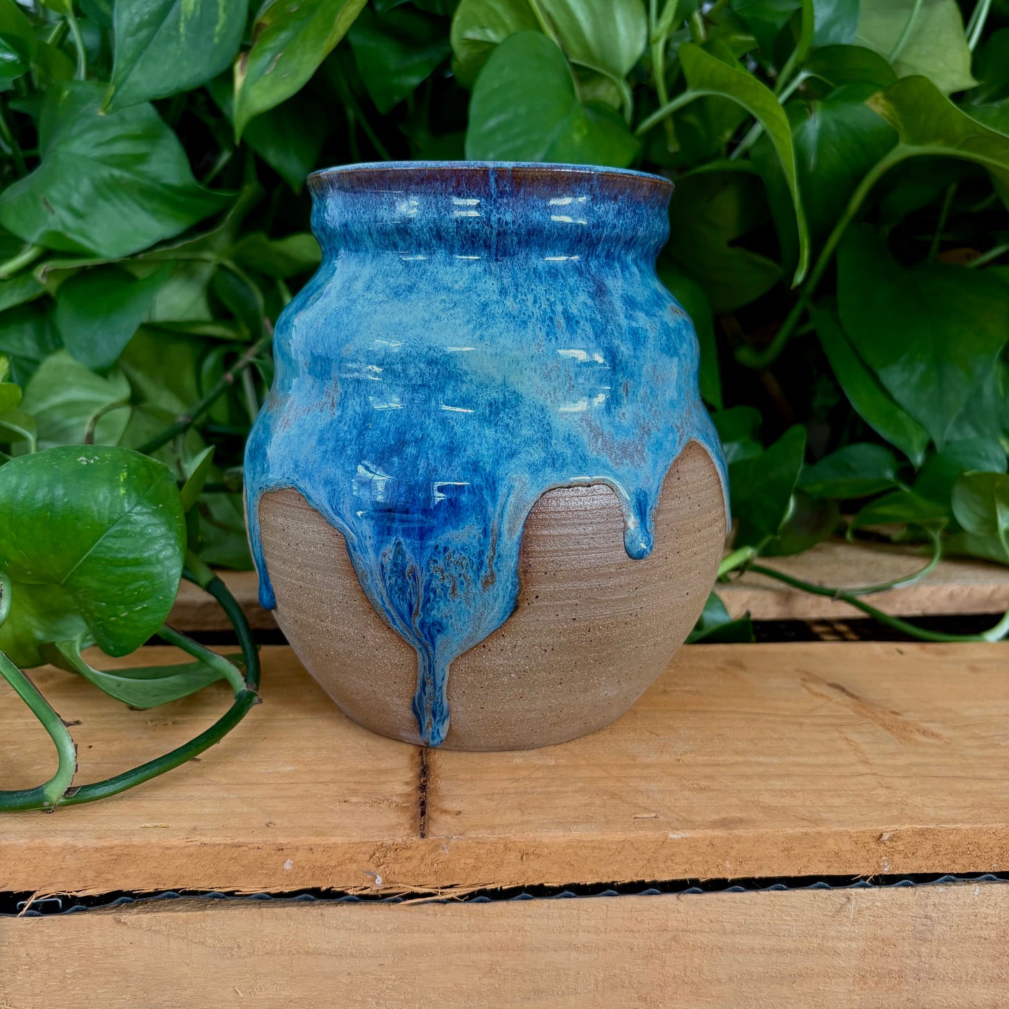 #337 Delphinium Vase