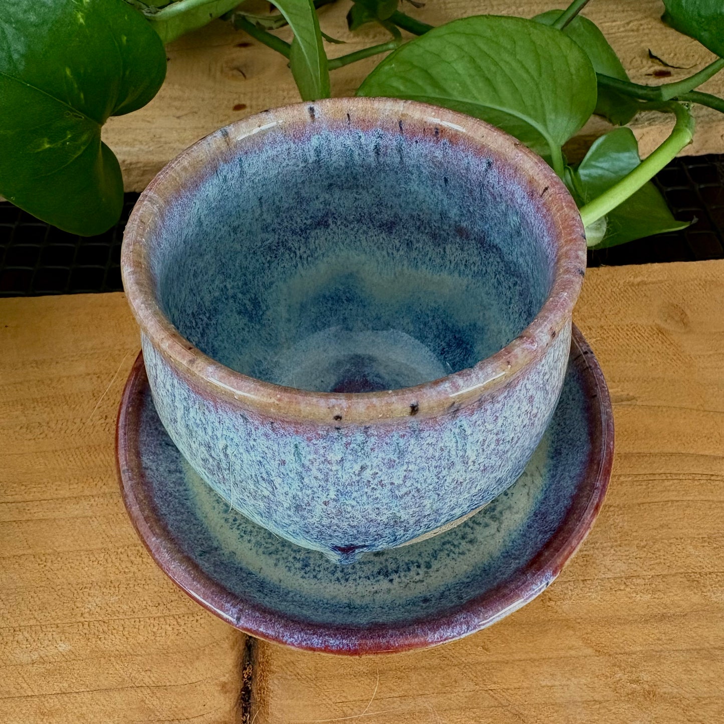 #302 Primrose Espresso Set