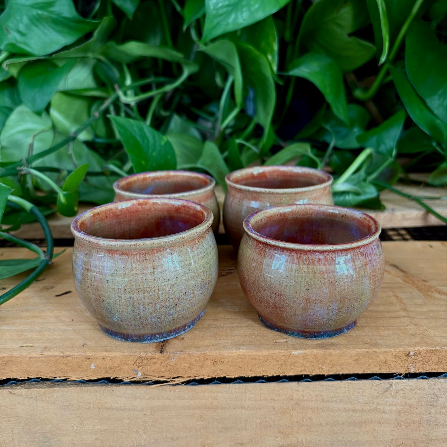 #338 Hyacinth Sake Set