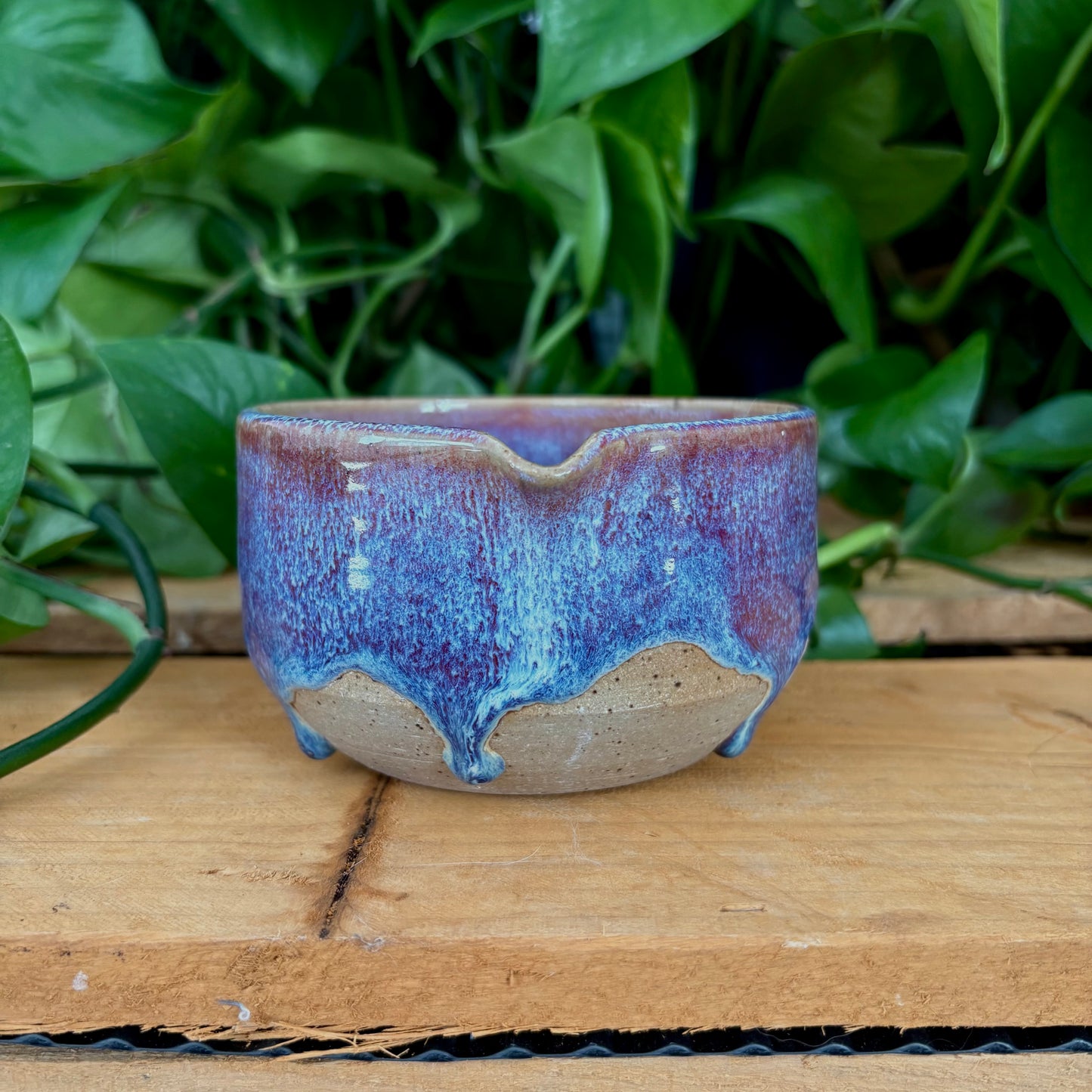 #310 Primrose Matcha Bowl