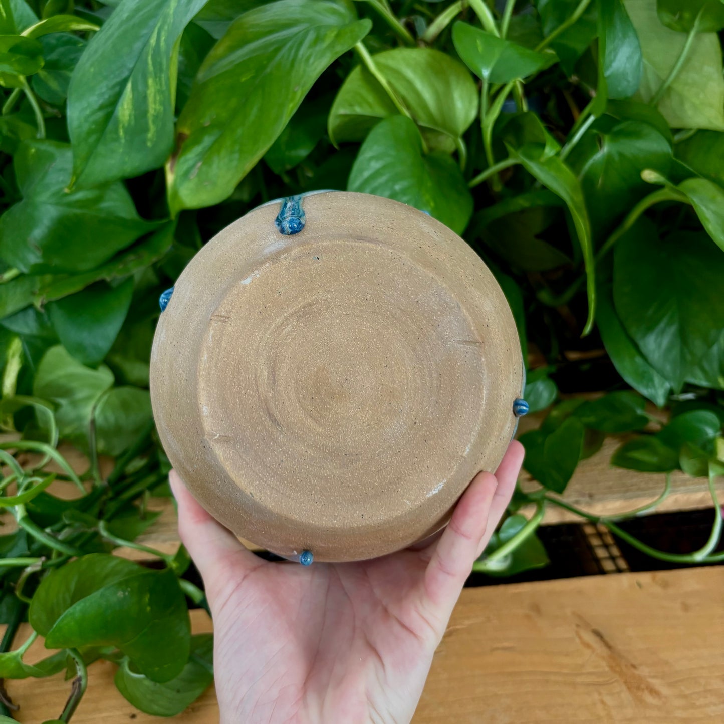 #337 Delphinium Vase