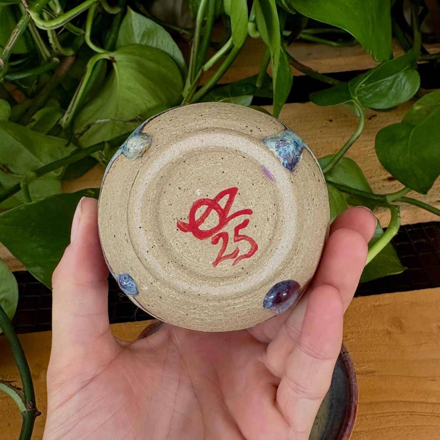 #302 Primrose Espresso Set