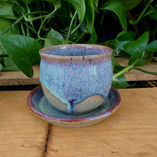 #302 Primrose Espresso Set