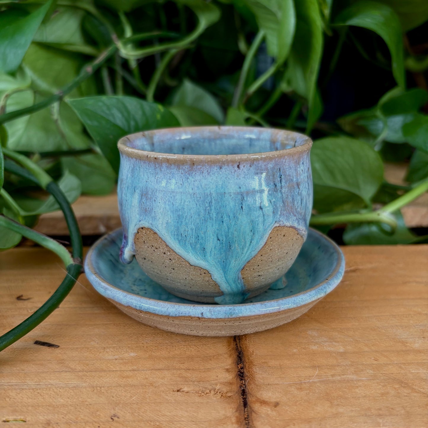 #303 Hydrangea Espresso Set