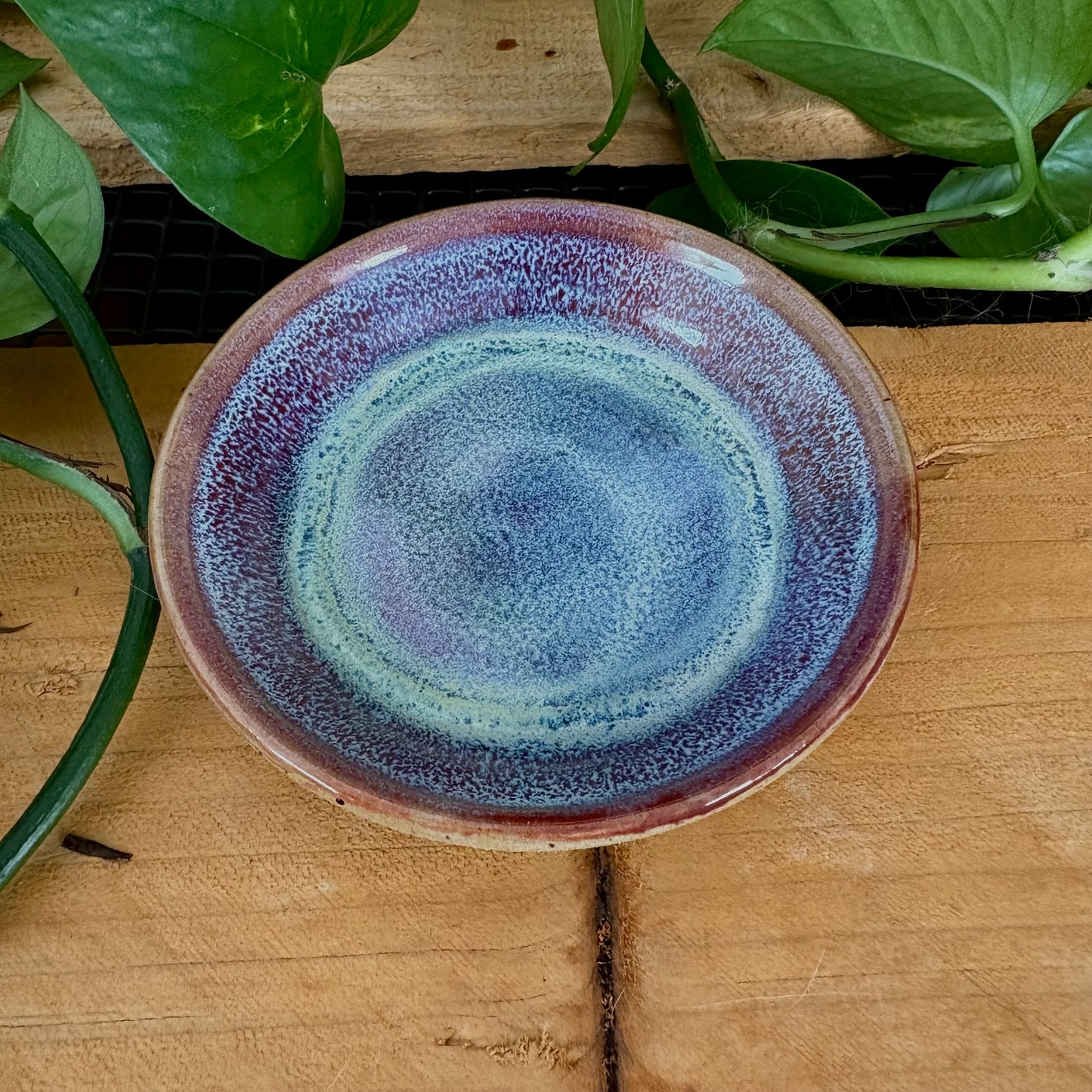 #304 Primrose Espresso Set