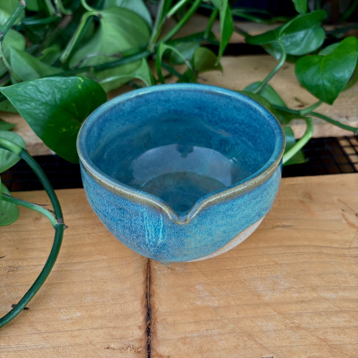 #311 Juniper Matcha Bowl