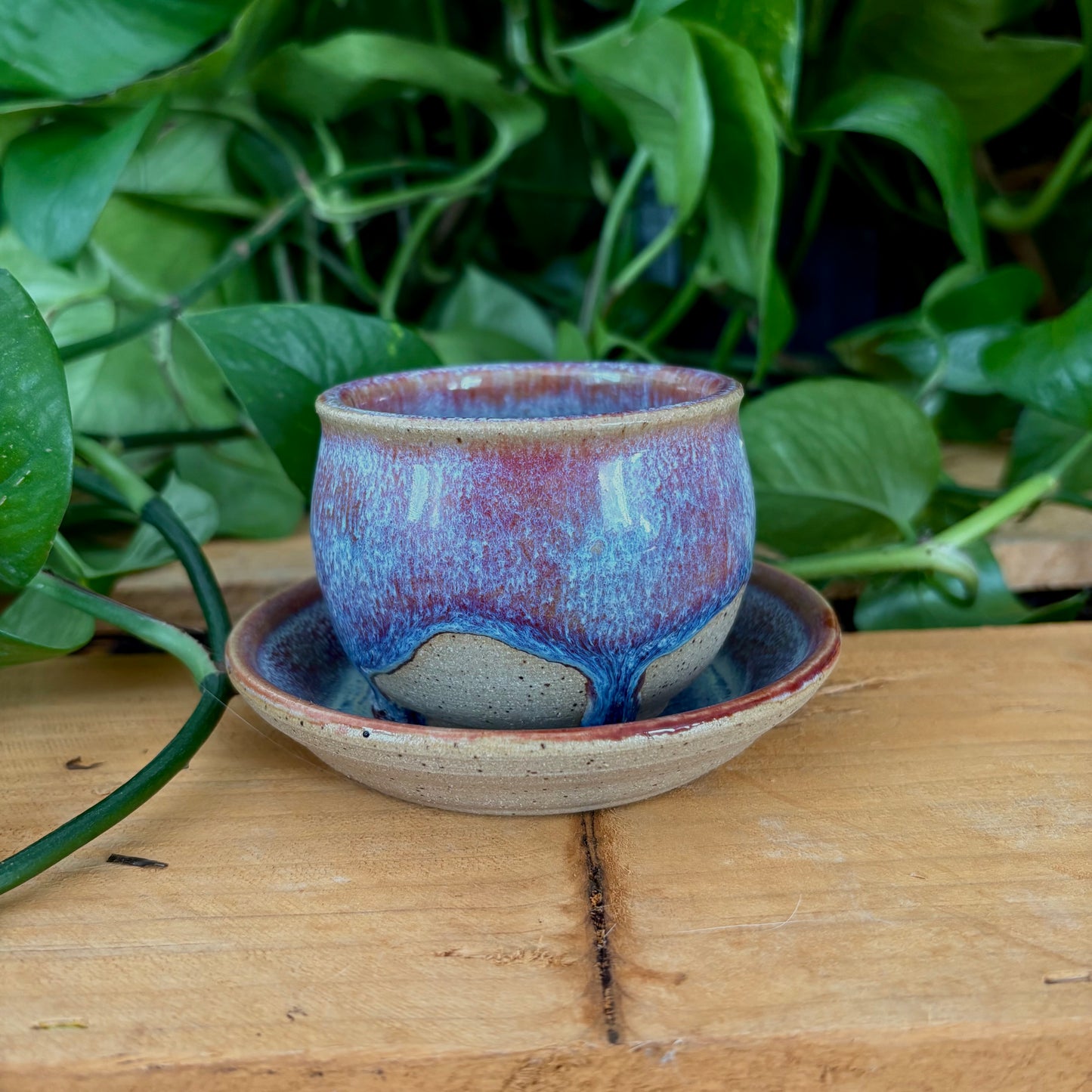 #304 Primrose Espresso Set