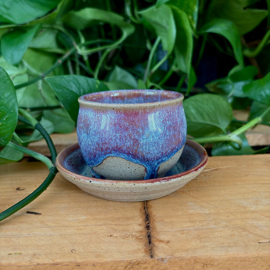 #304 Primrose Espresso Set