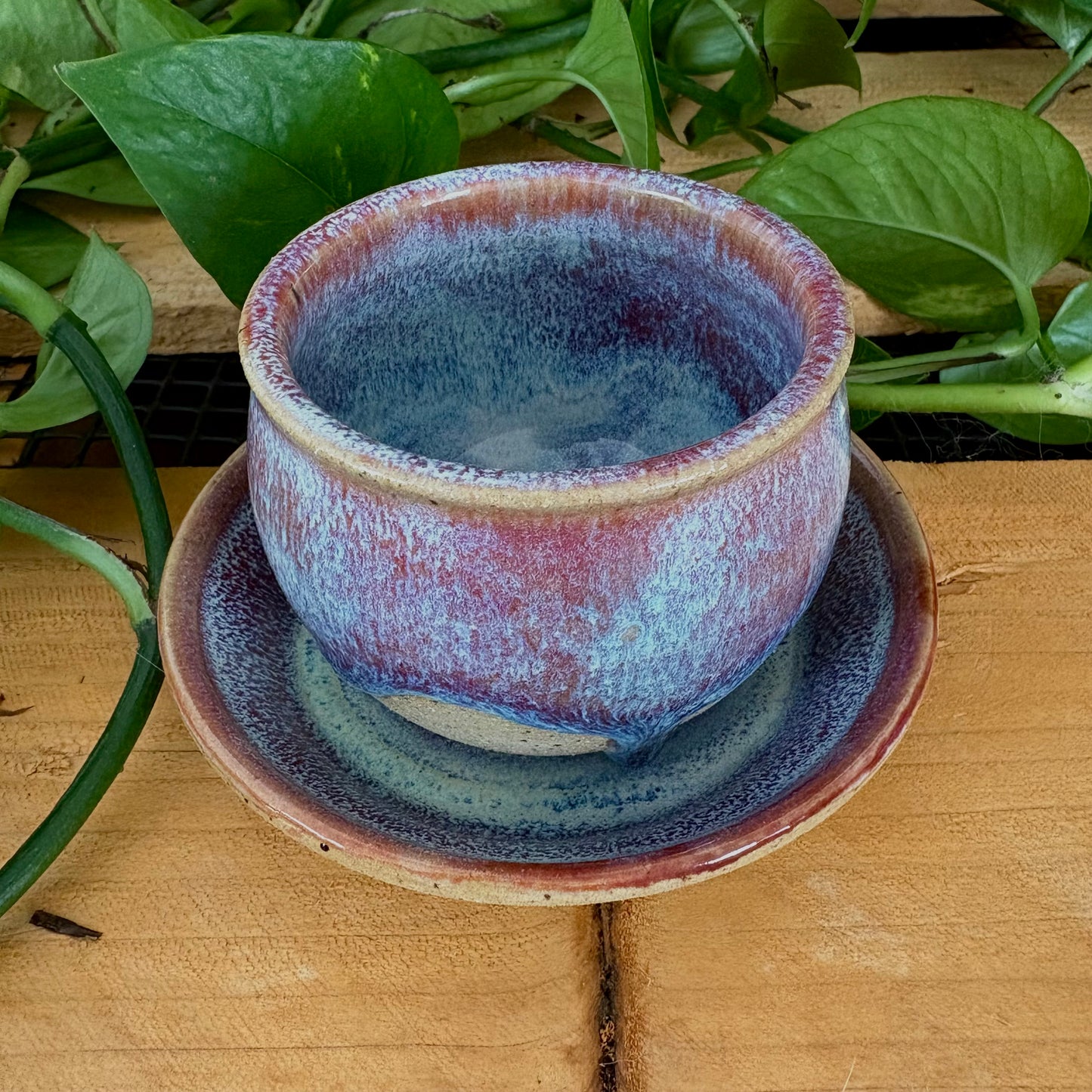 #304 Primrose Espresso Set