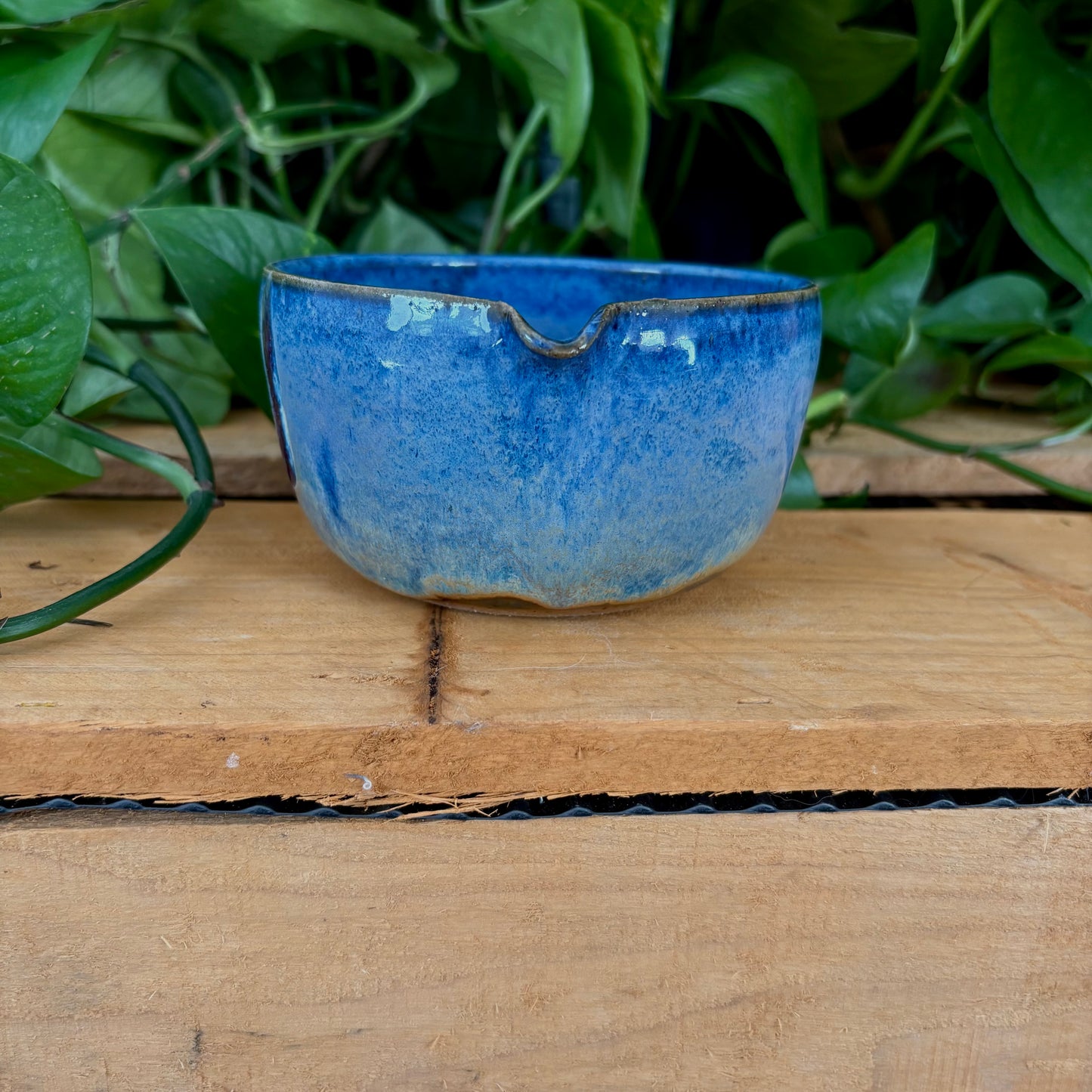 #312 Bluebell Matcha Bowl