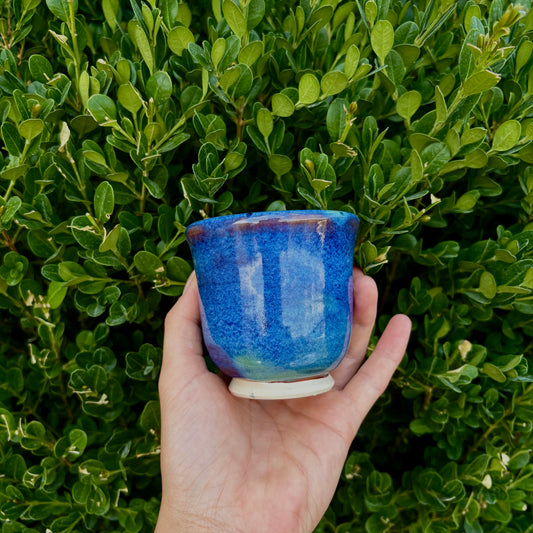 Lupine Matcha & Tea Cup #232