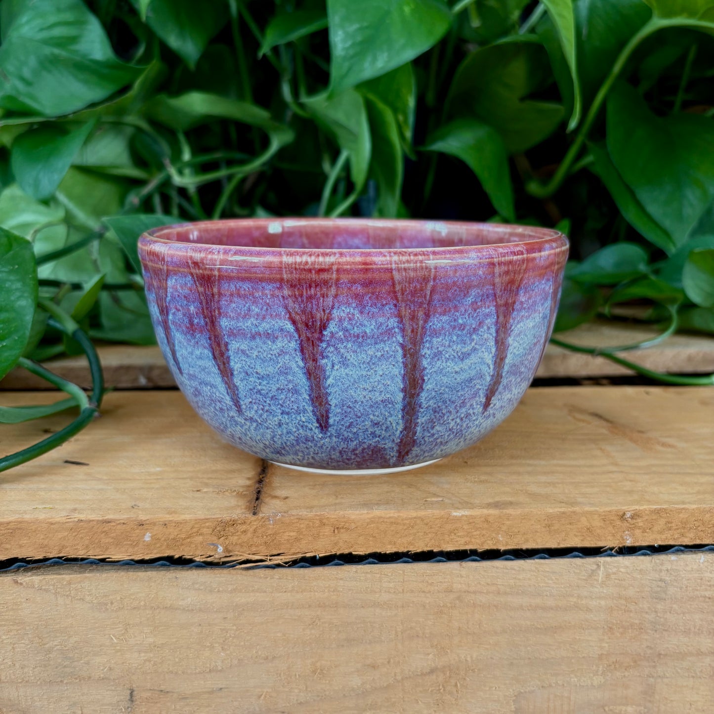 #327 Citrus Bloom Bowl