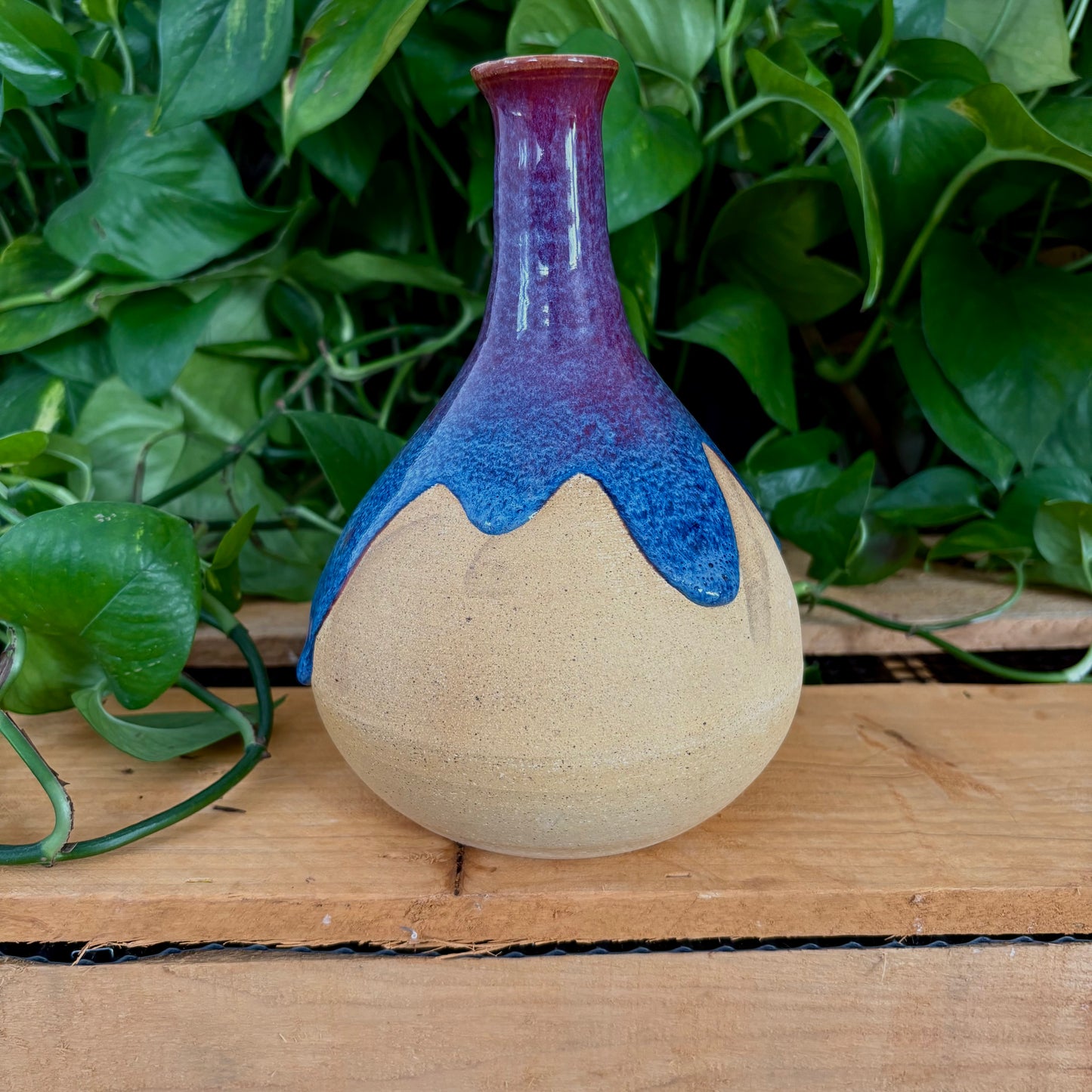 #334 Salvia Vase