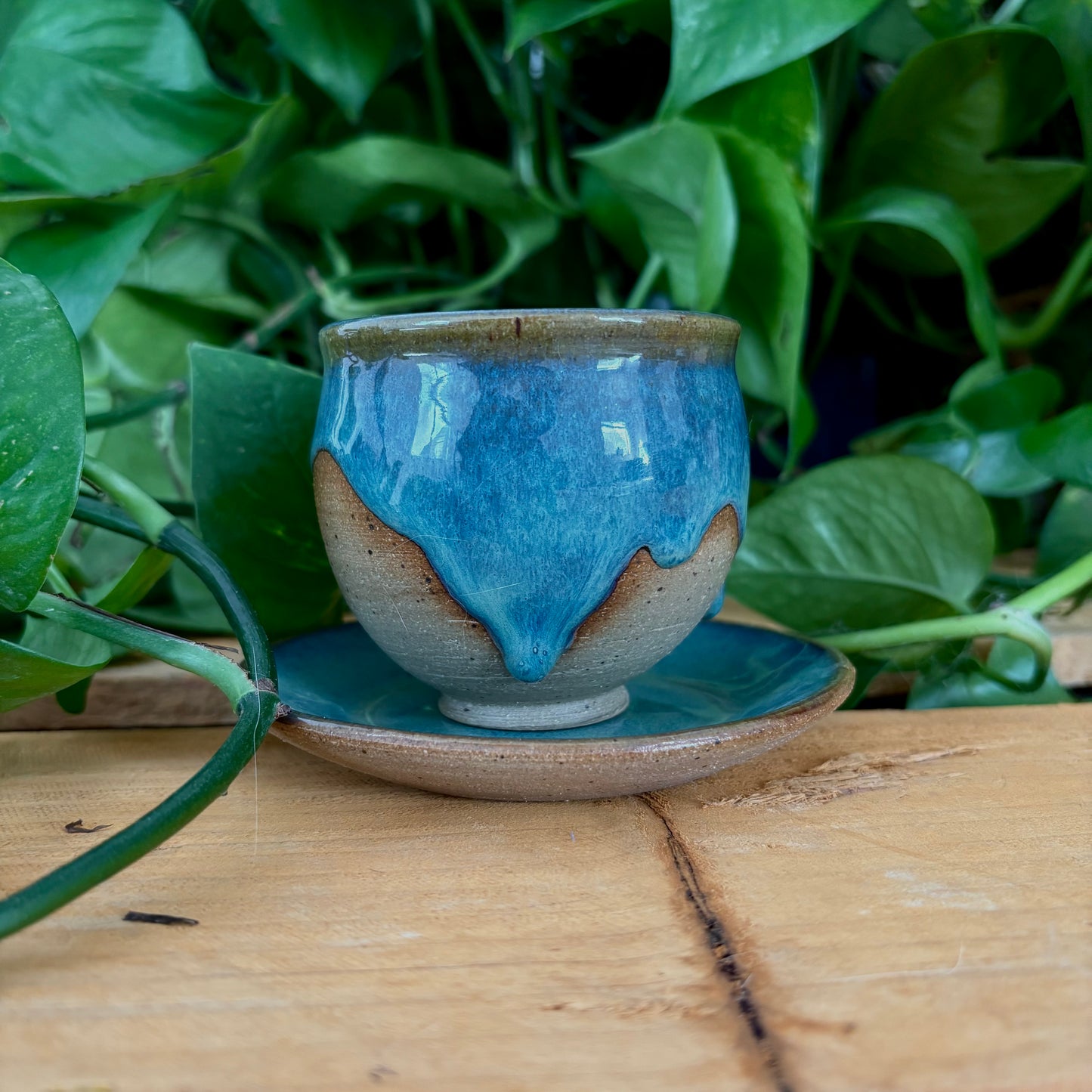 #307 Juniper Espresso Set