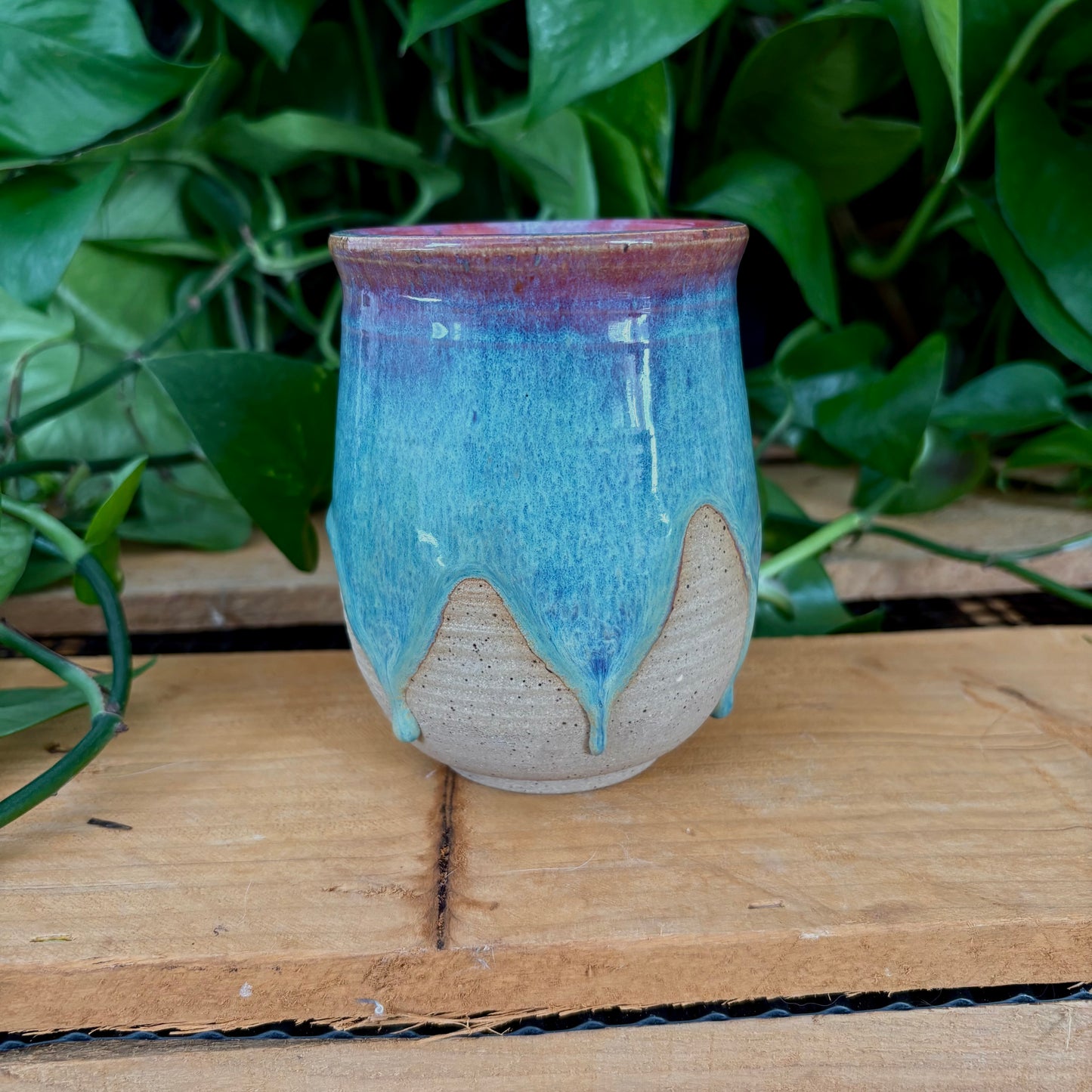 #325 Prairie Phlox Tumbler