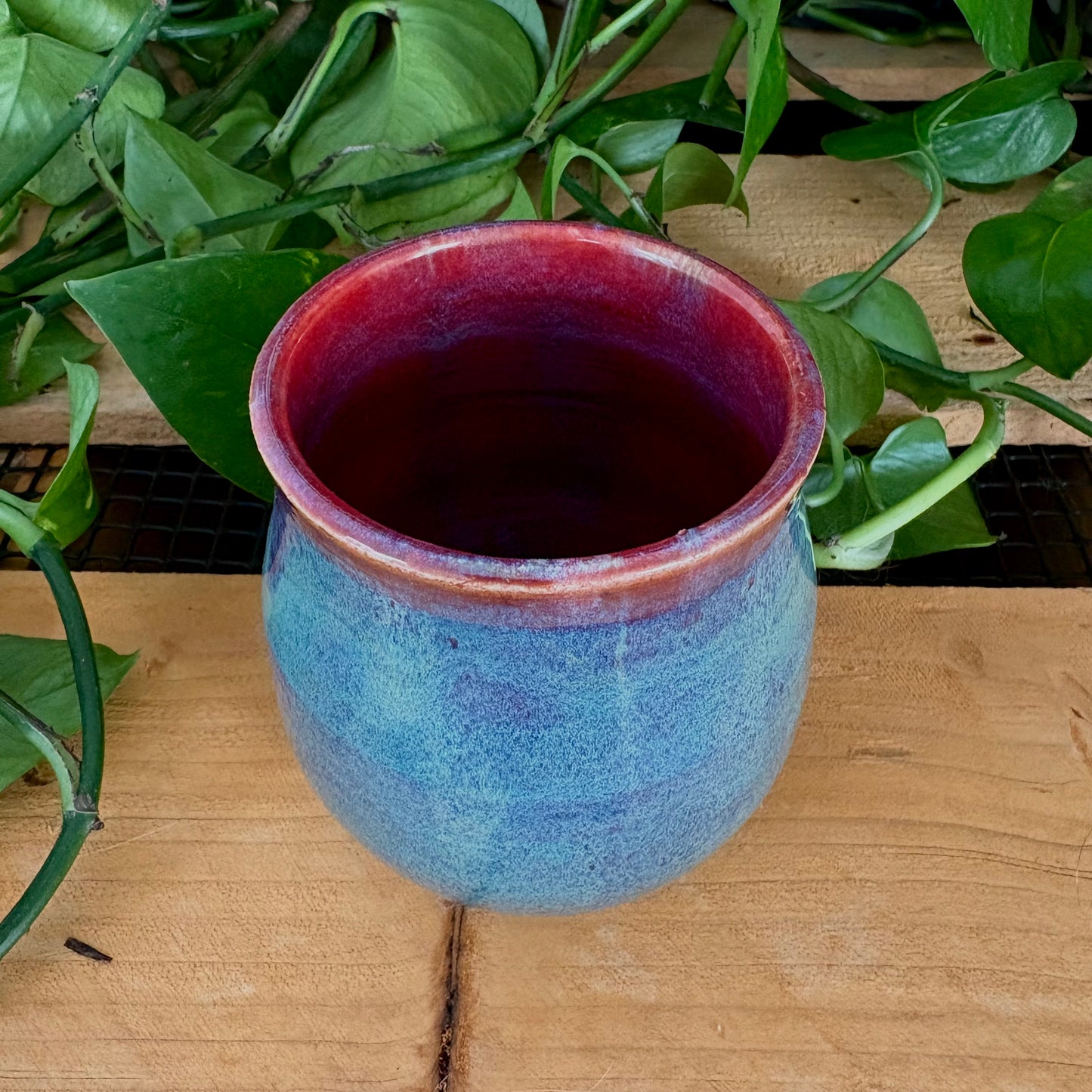 #323 Prairie Phlox Tumbler