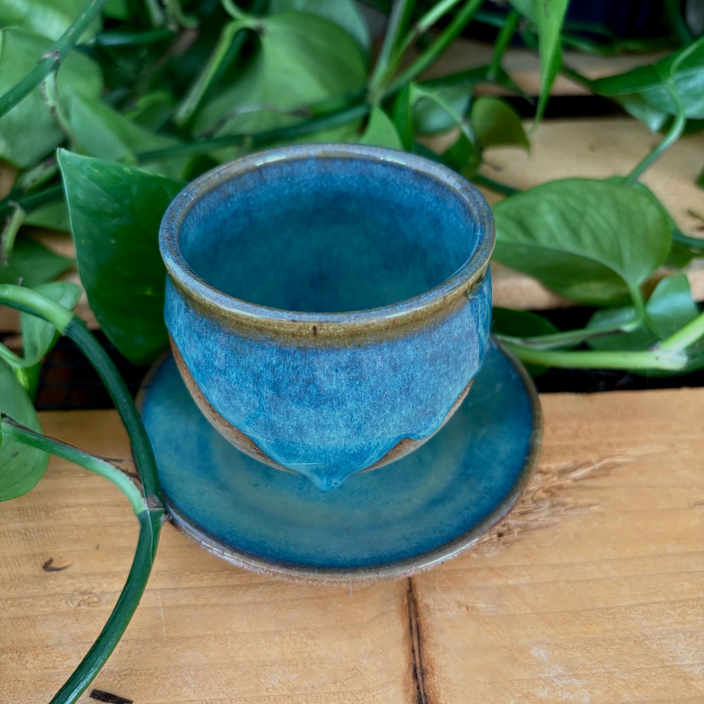 #307 Juniper Espresso Set