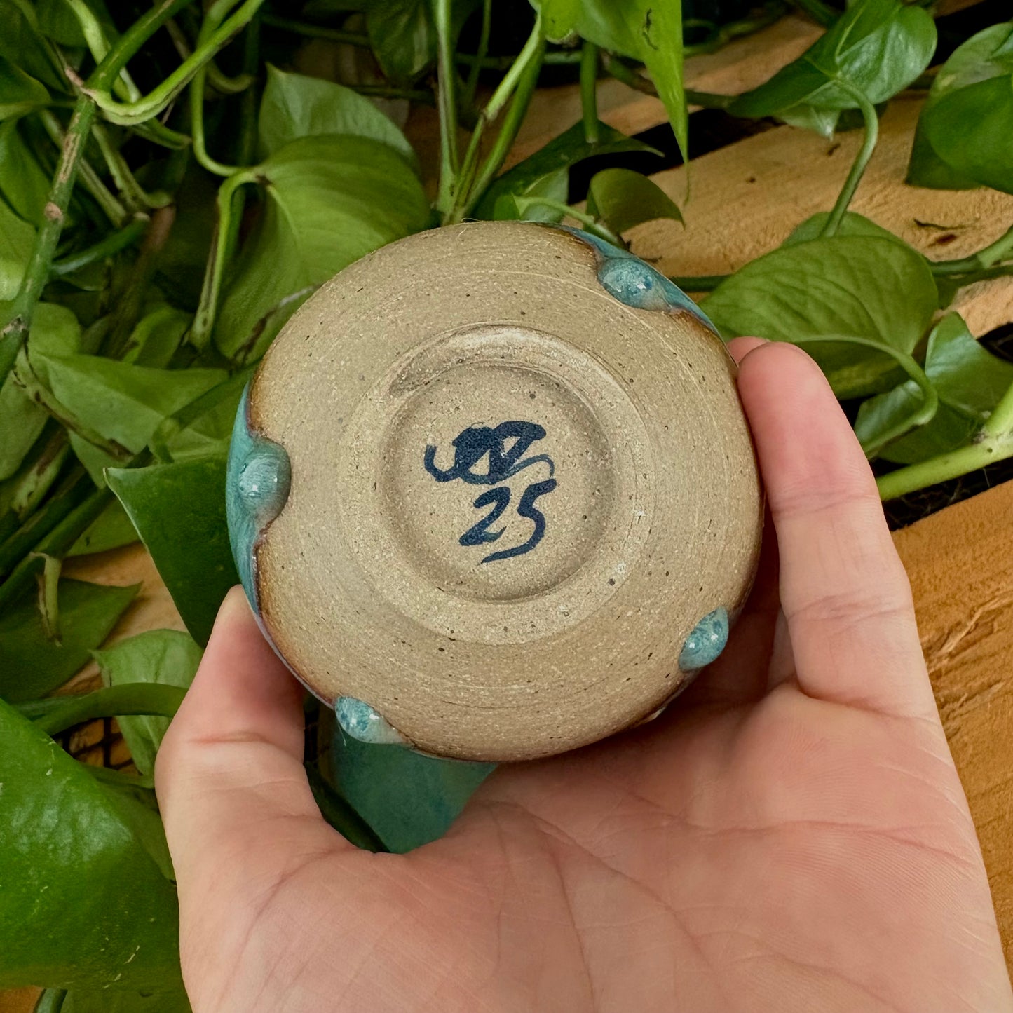 #307 Juniper Espresso Set