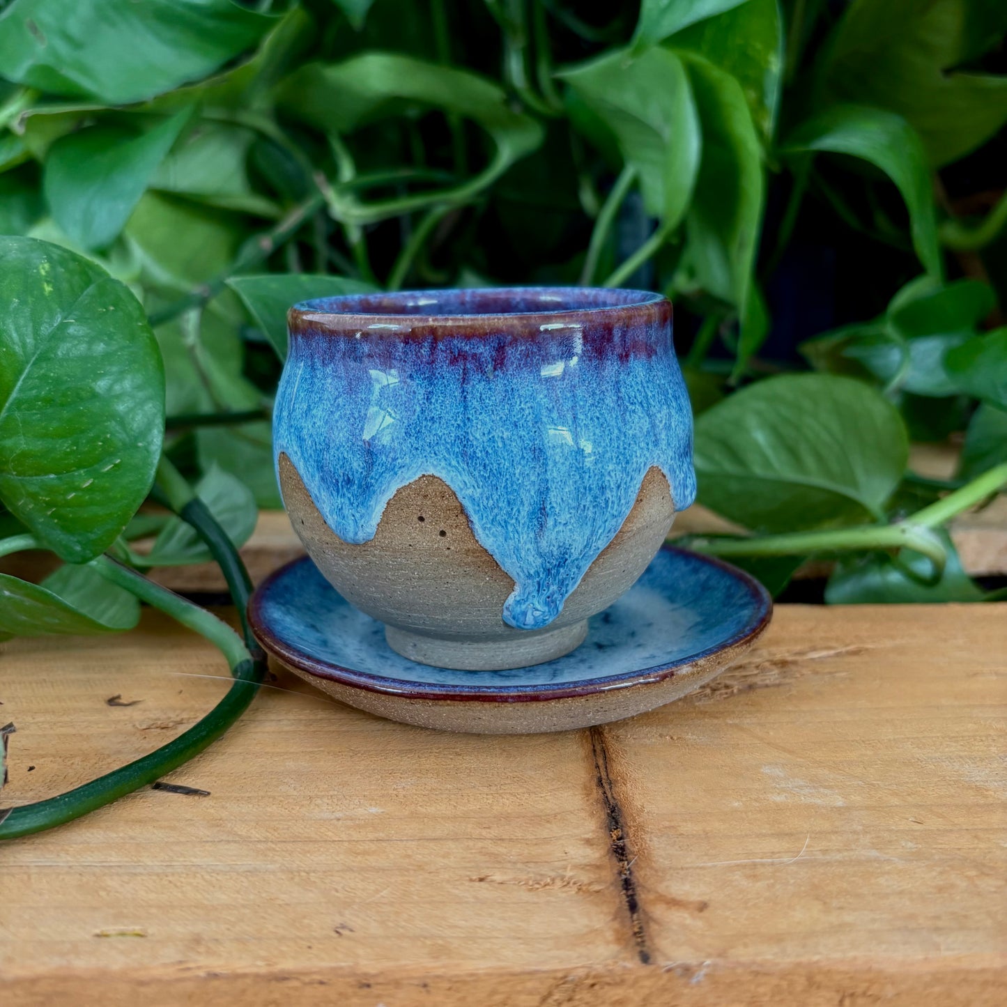 #305 Hyacinth Espresso Set