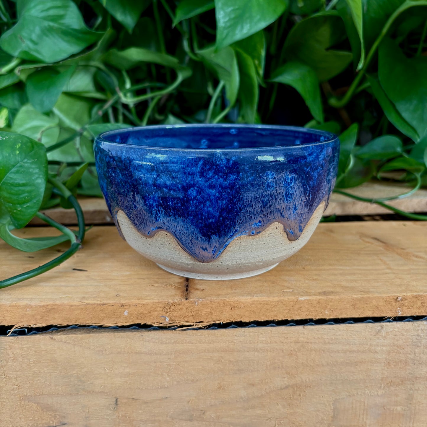 #329 Midnight Statice Bowl