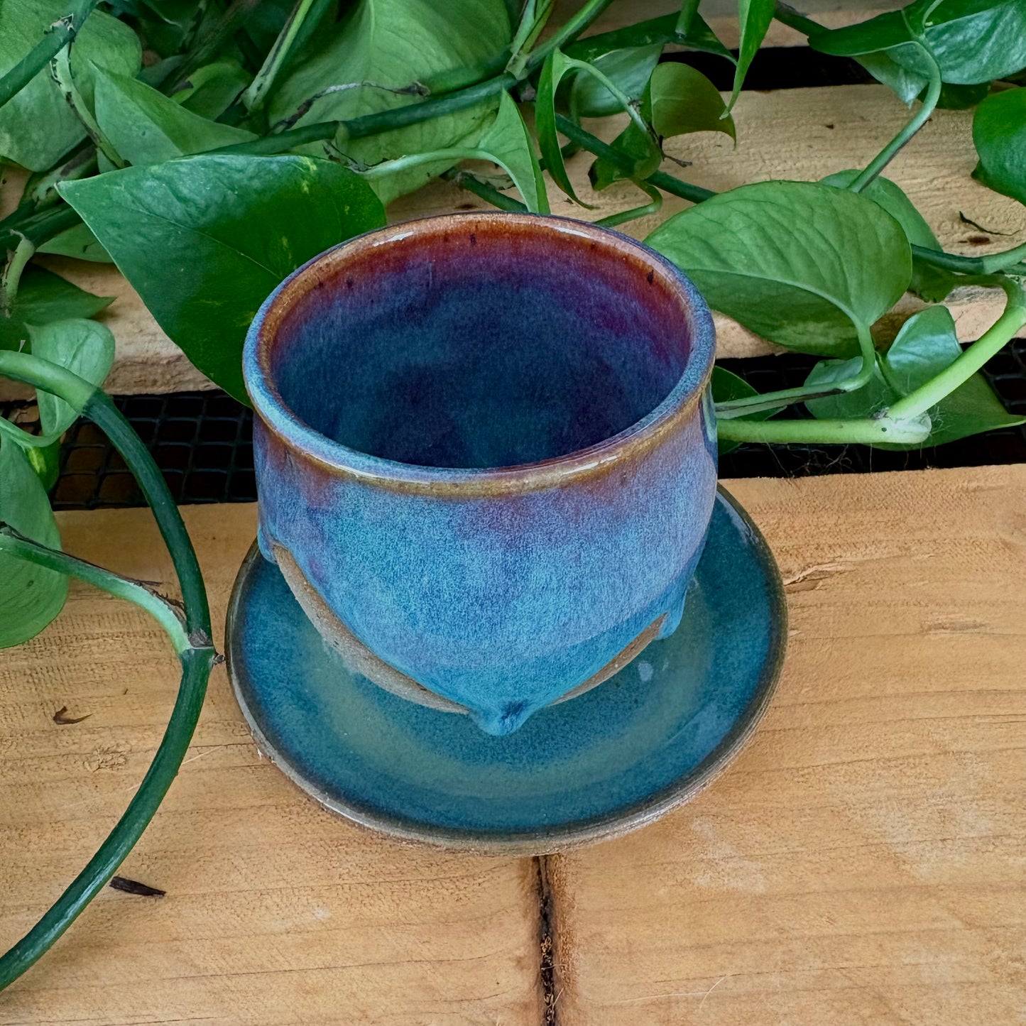 #308 Prairie Phlox Espresso Set