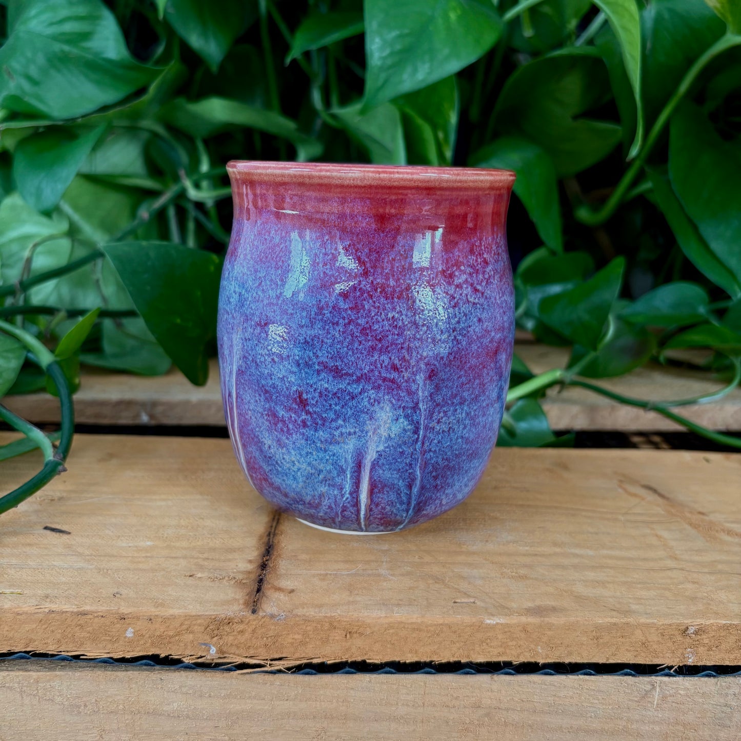 #316 Sugar Thistle Mug