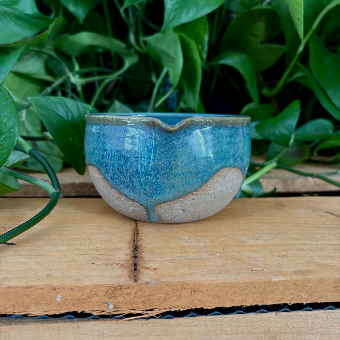 #311 Juniper Matcha Bowl