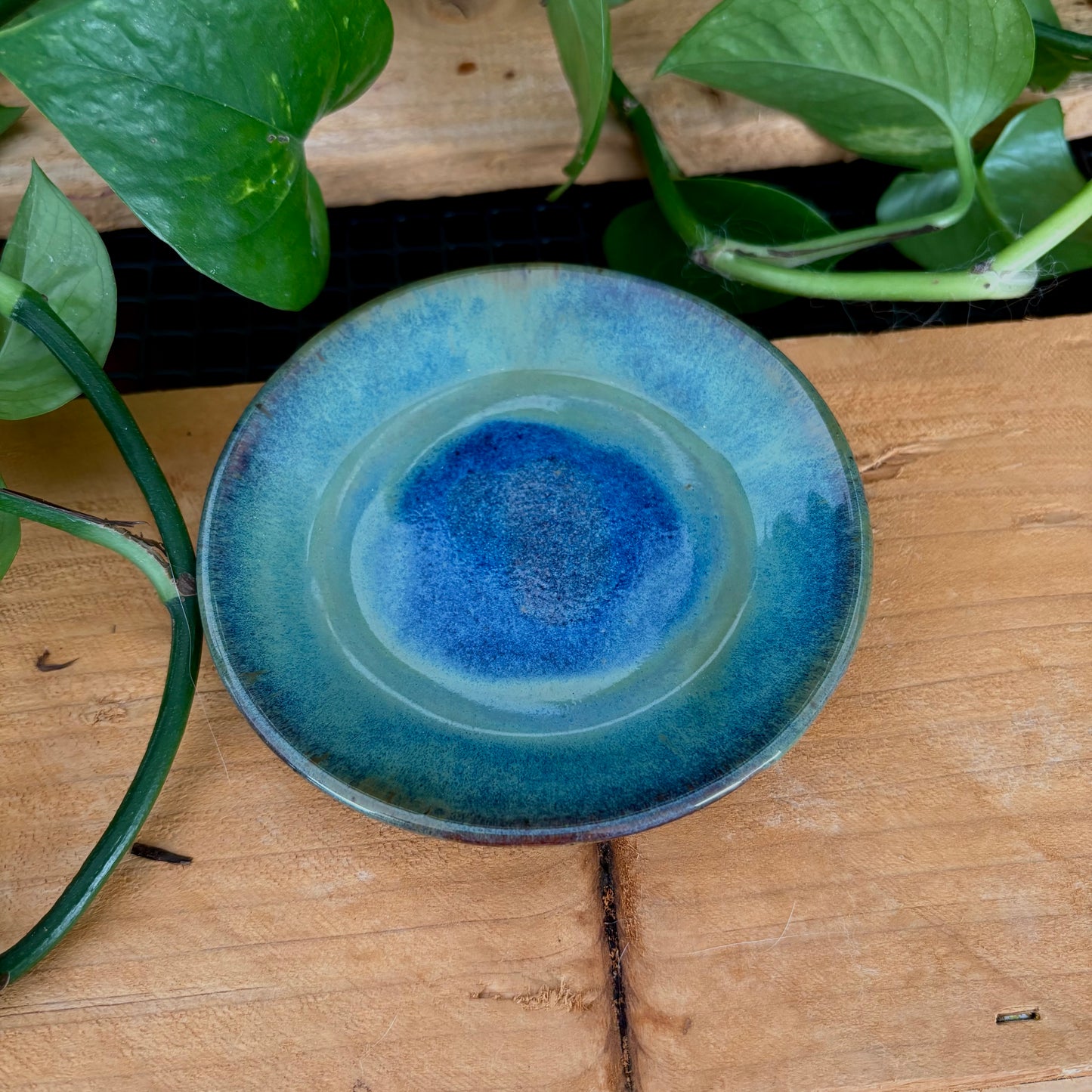 #306 Juniper Espresso Set