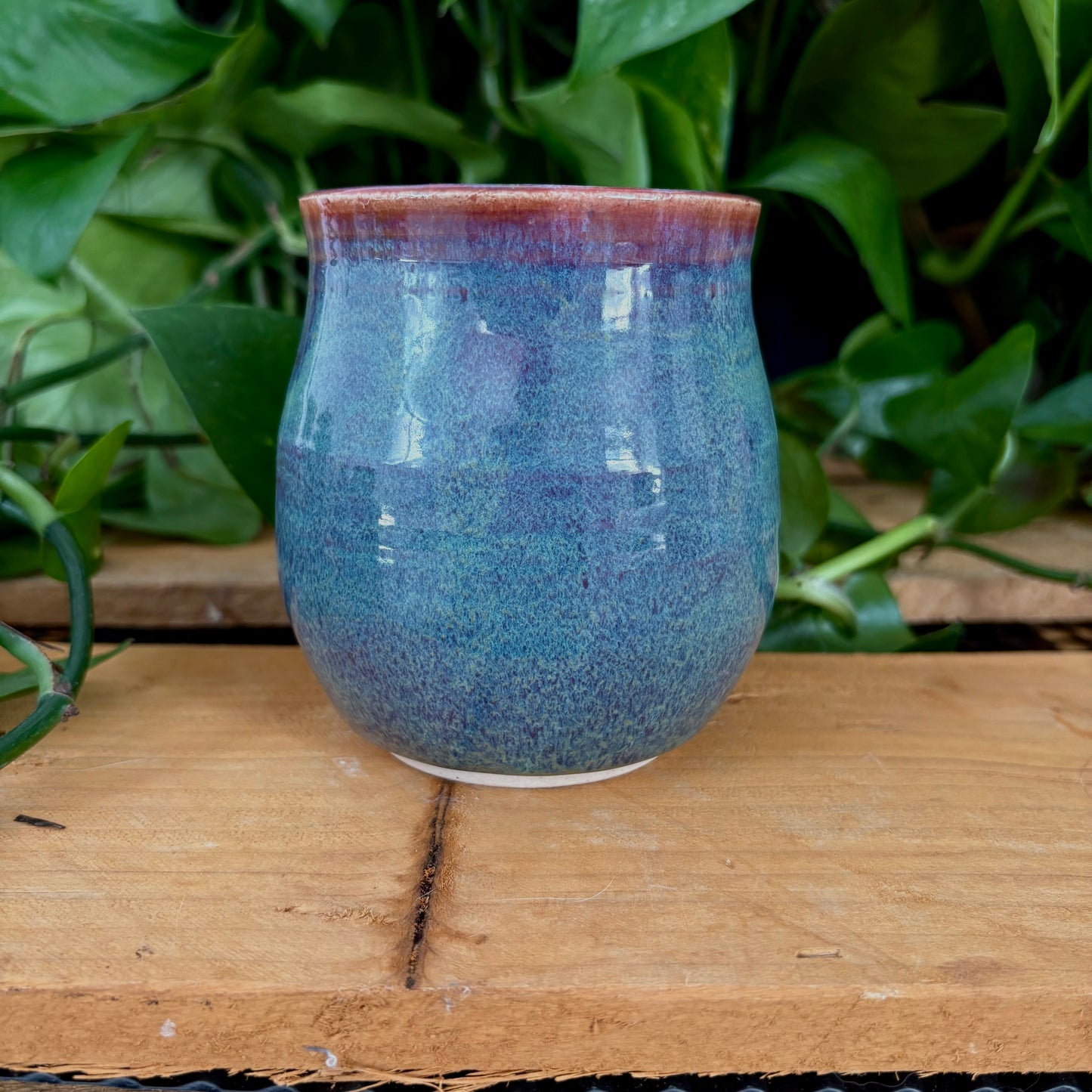 #323 Prairie Phlox Tumbler