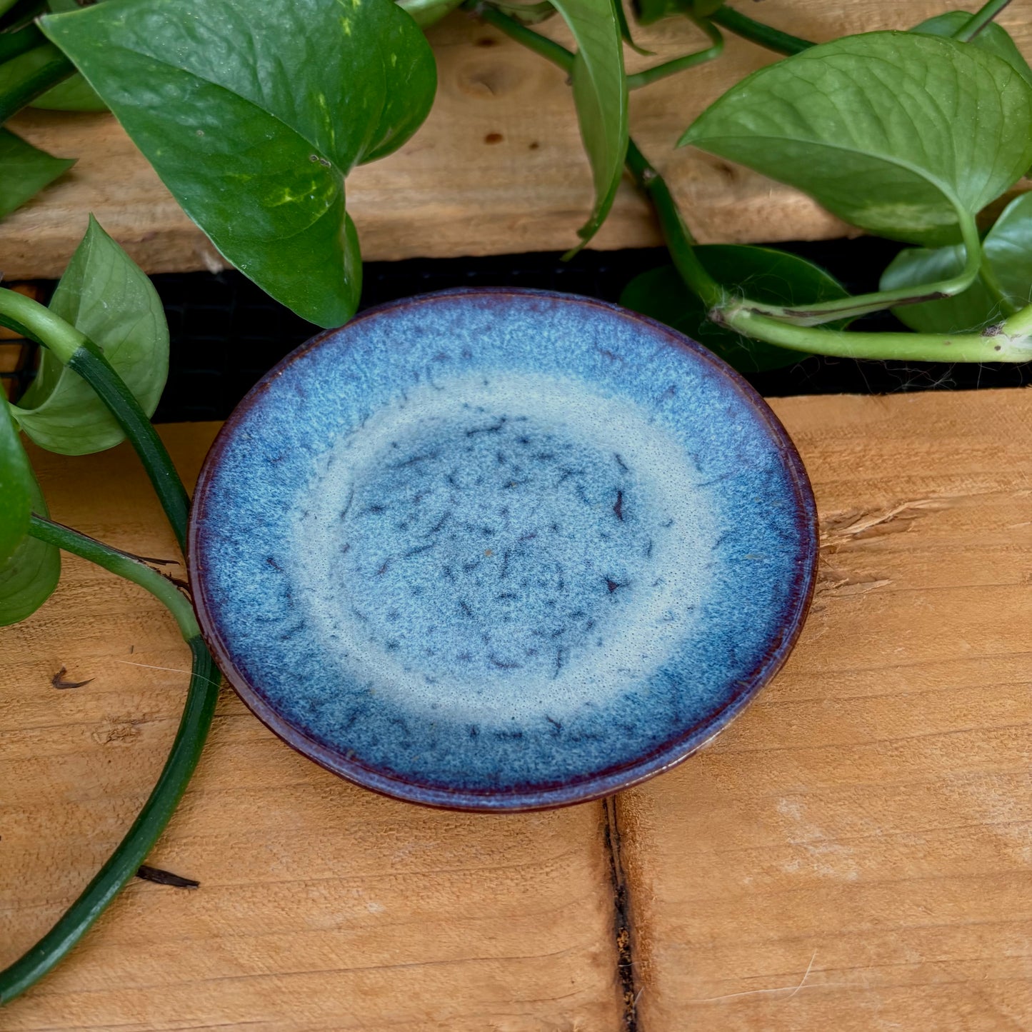 #305 Hyacinth Espresso Set